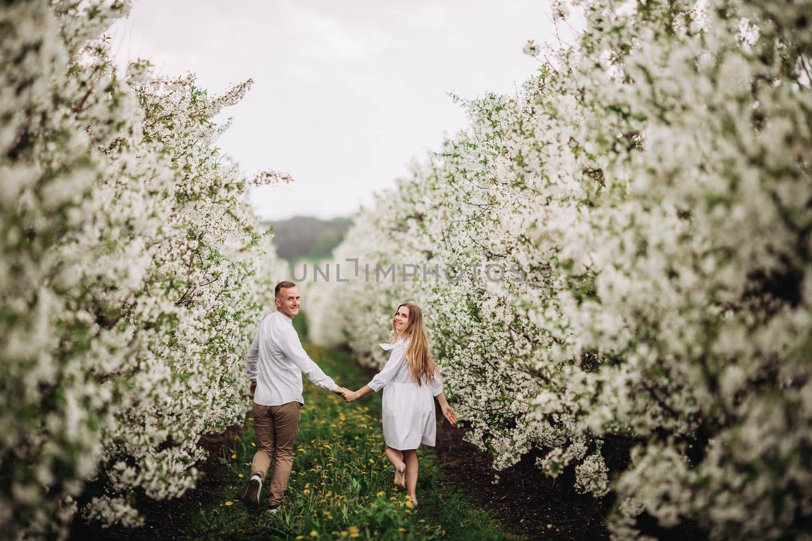 Happy family couple in spring blooming apple orchard. Young couple in love enjoy each other while walking in the garden. The man holds the woman's hand. Family relationships by Dmitrytph