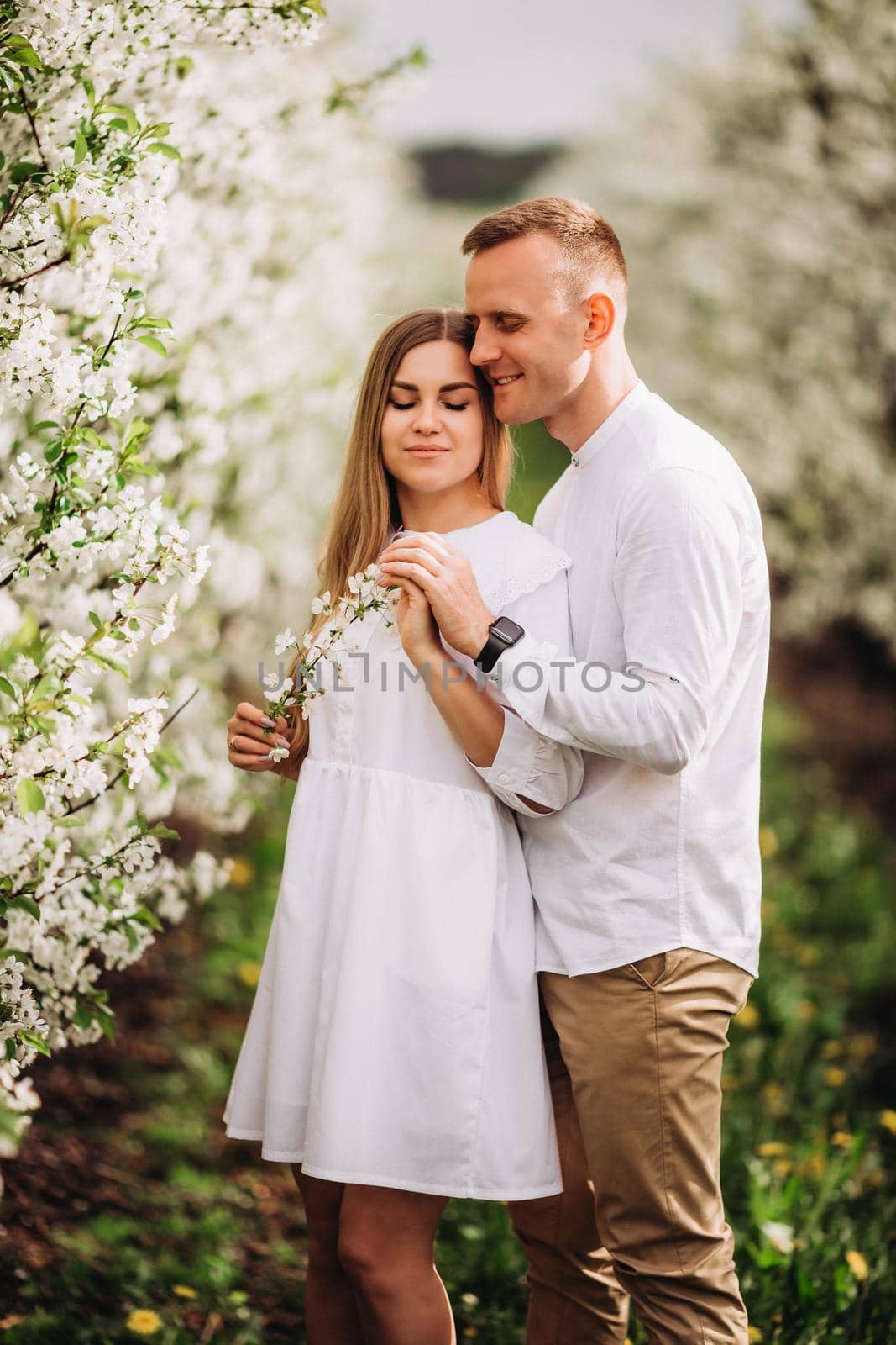 A happy young couple in love stands in a garden of blooming apple trees. A man in a white shirt and a girl in a white light dress are walking in a flowering park