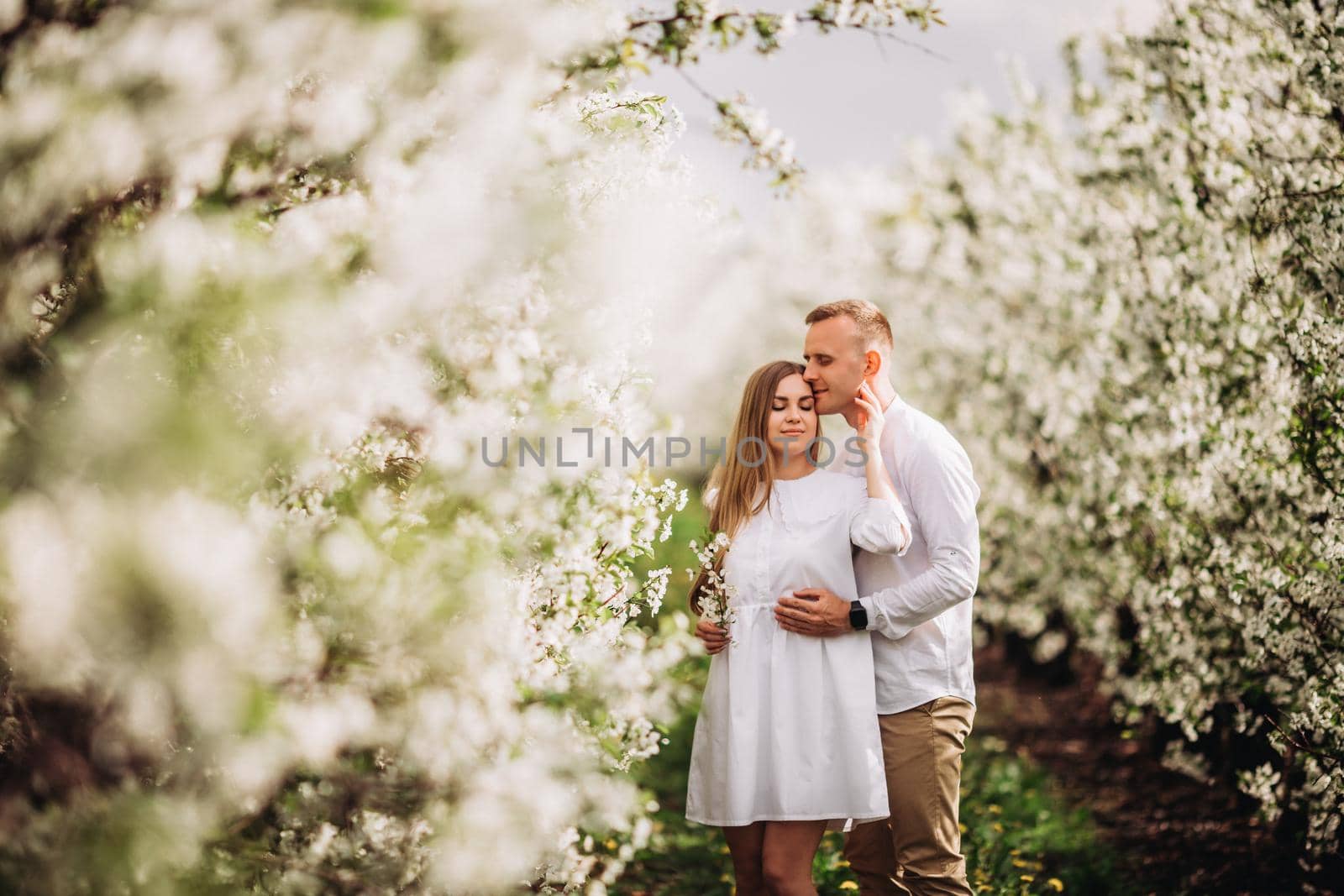 A happy young couple in love stands in a garden of blooming apple trees. A man in a white shirt and a girl in a white light dress are walking in a flowering park by Dmitrytph