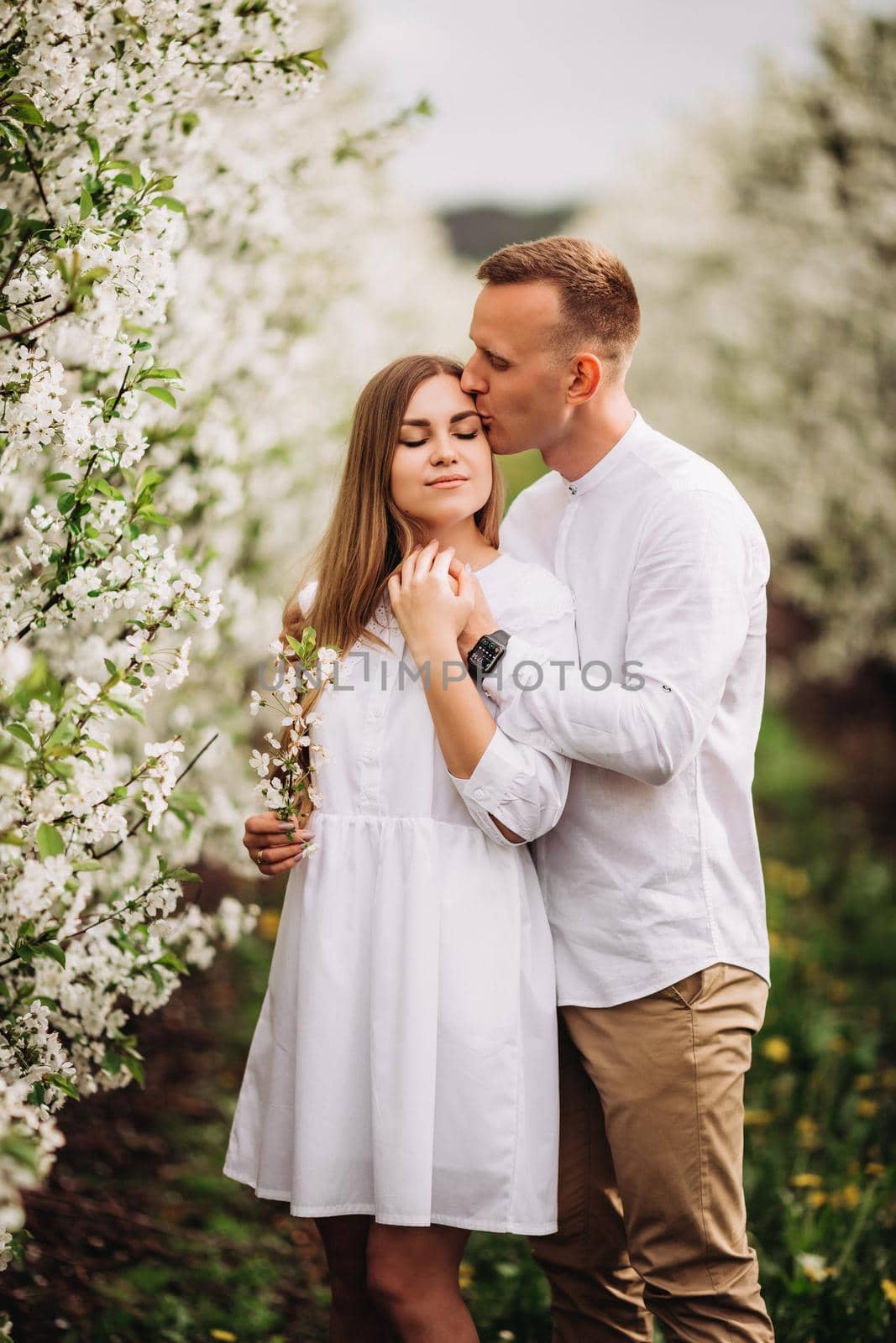 A happy young couple in love stands in a garden of blooming apple trees. A man in a white shirt and a girl in a white light dress are walking in a flowering park