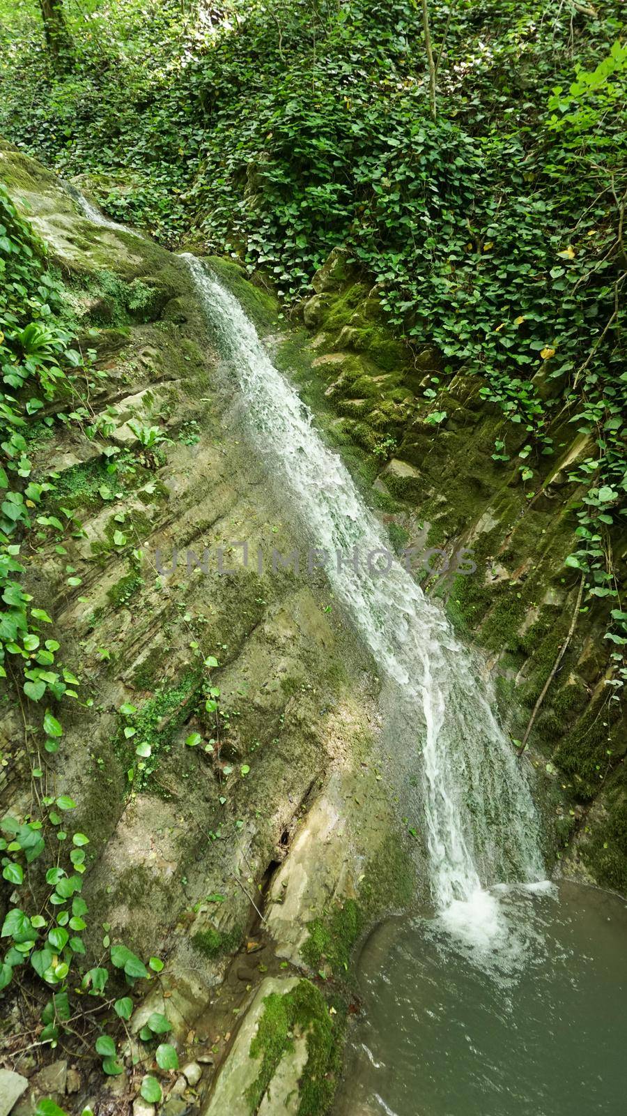 Forest waterfall in Sochi, Russia. Berendeyevo kingdom tourist trail