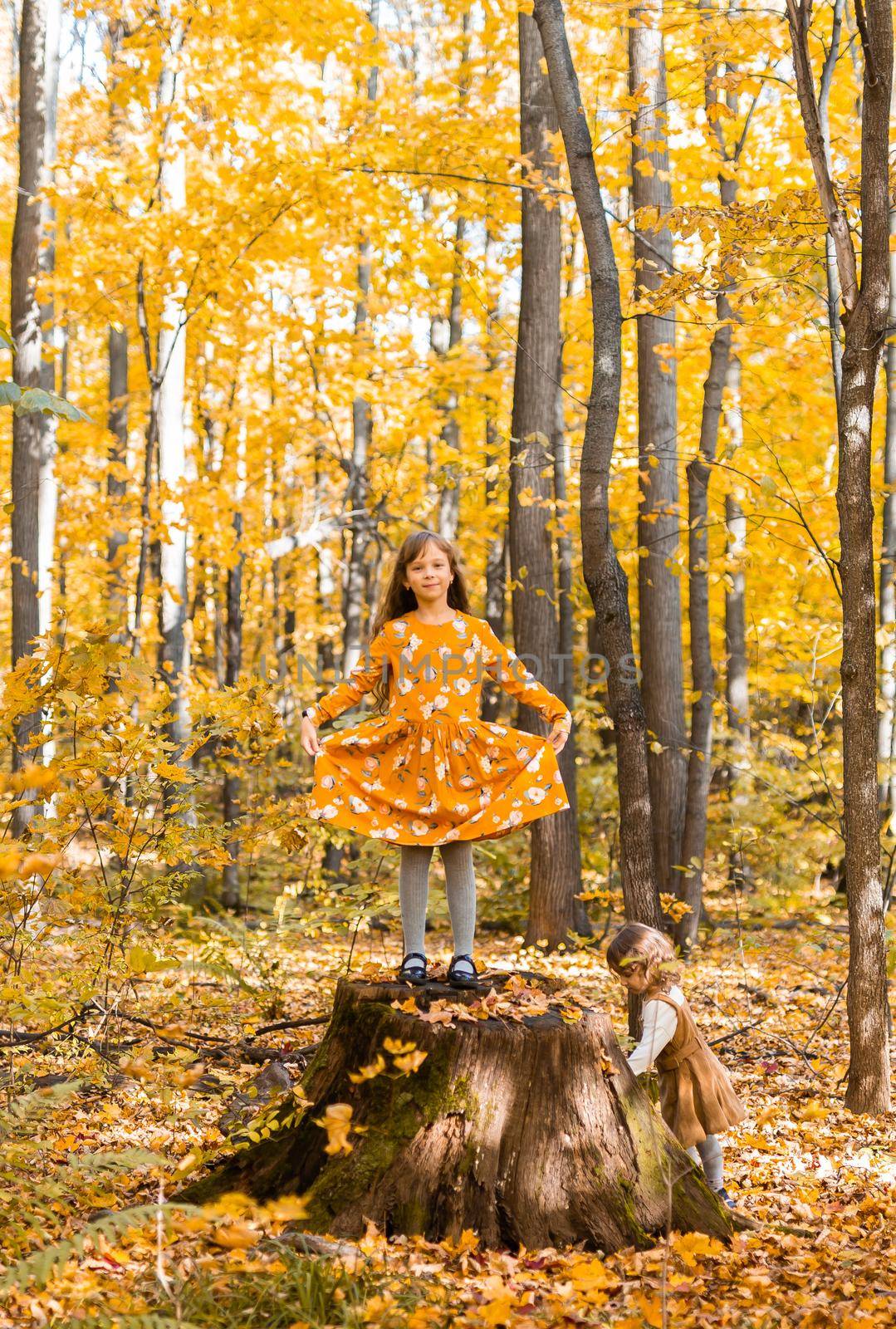Little kid girl with autumn orange leaves in a park. Lifestyle, fall season and children concept. by Satura86