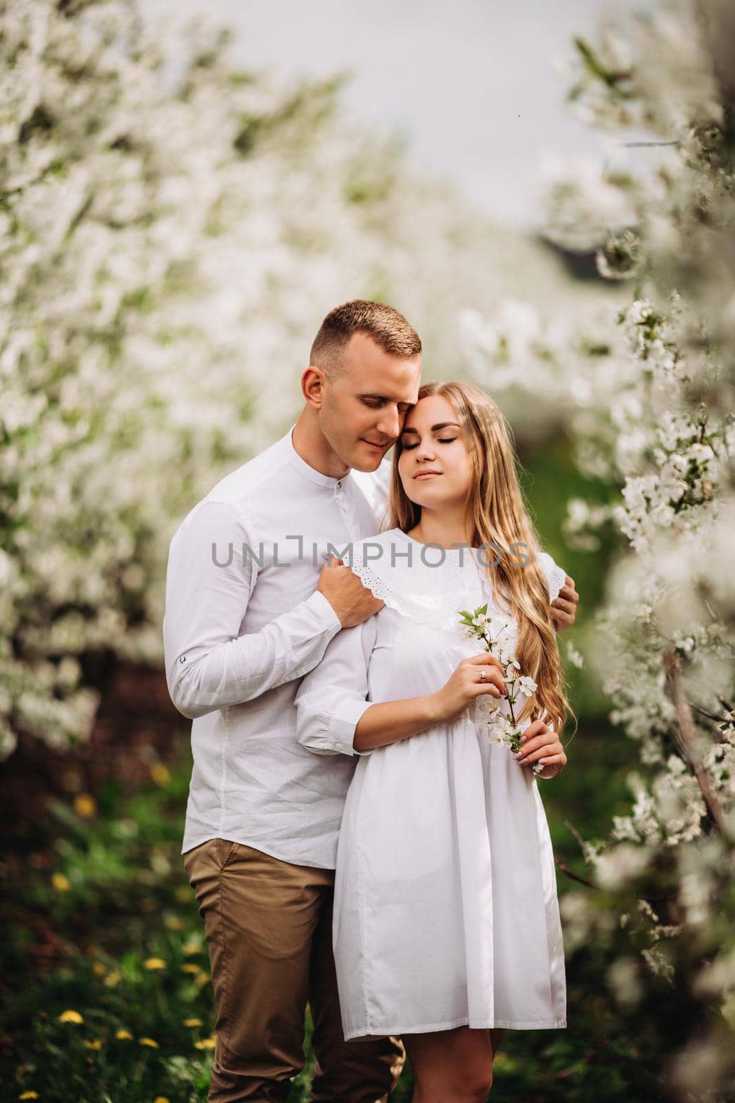 A happy young couple in love stands in a garden of blooming apple trees. A man in a white shirt and a girl in a white light dress are walking in a flowering park