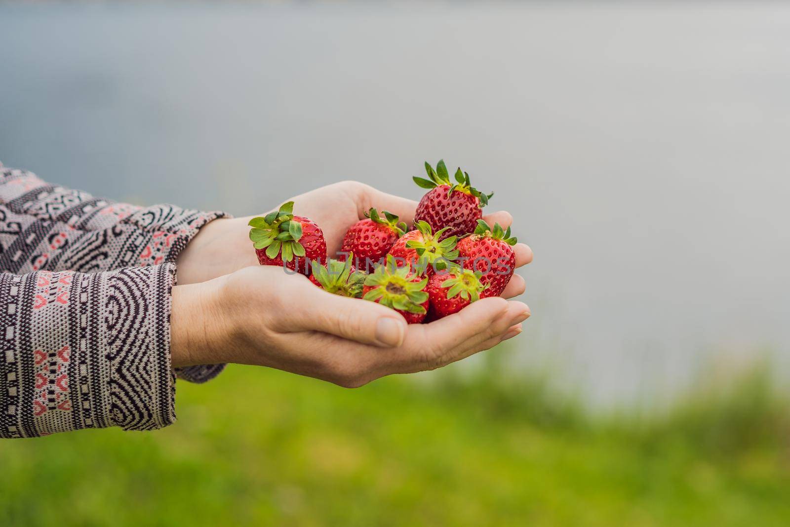 Young attractive woman eating a strawberry, outdoors.