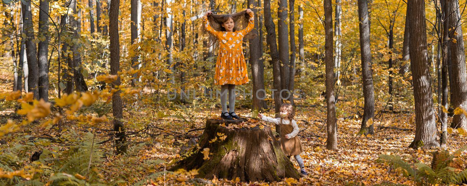 Banner little kids girls with autumn orange leaves in a park copy space. Lifestyle, fall season and children concept. by Satura86