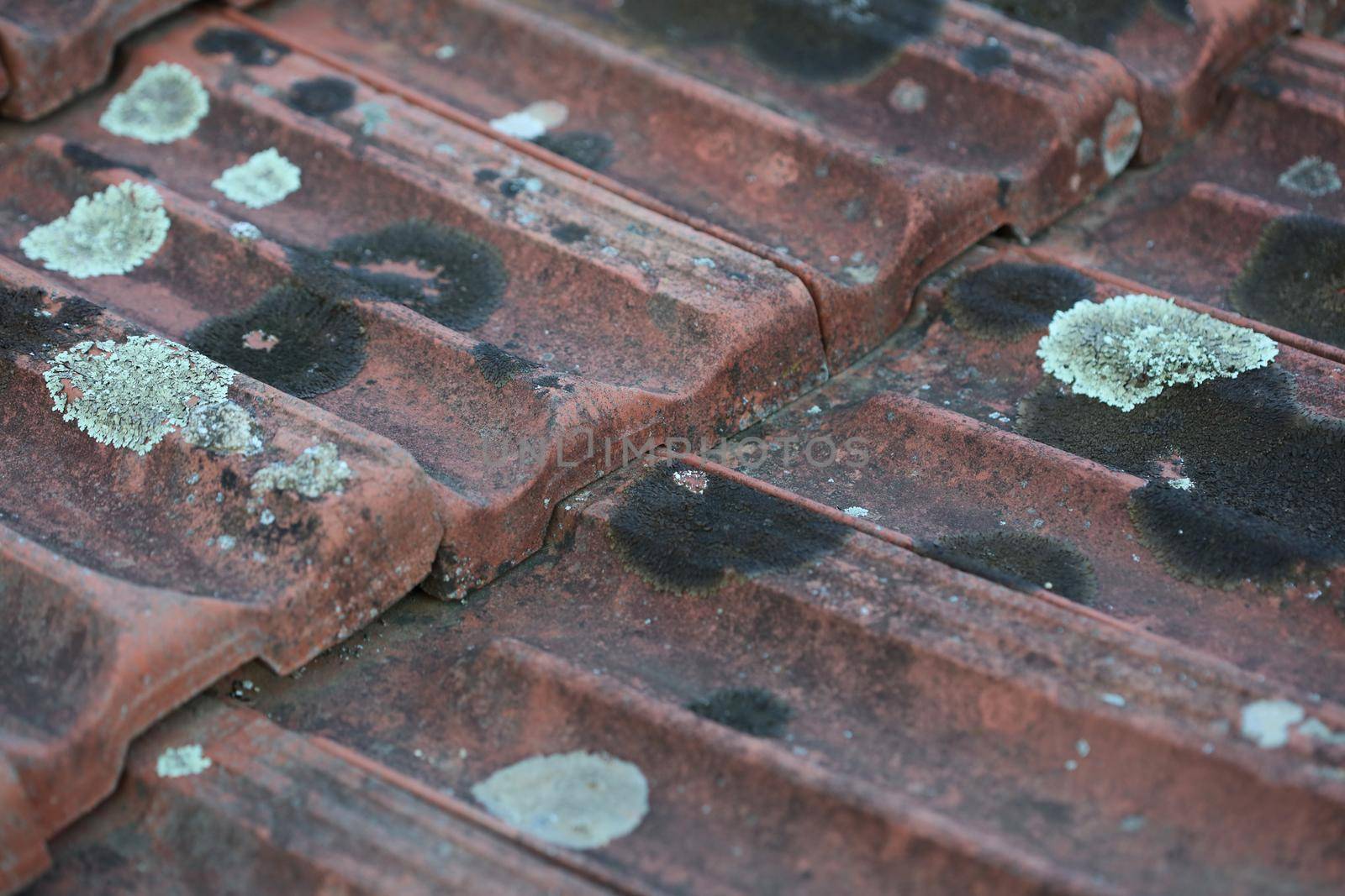 Old roof tiles with lichens closeup vintage background high quality big size prints