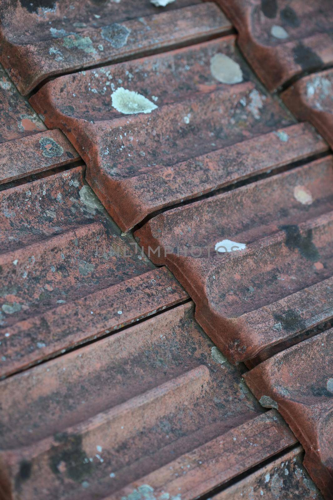 Old roof tiles with lichens closeup vintage background high quality big size prints