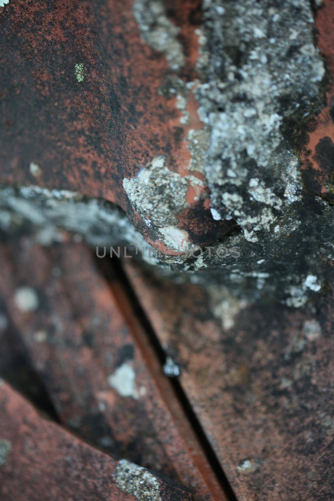 Old roof tiles with lichens closeup vintage background high quality big size prints