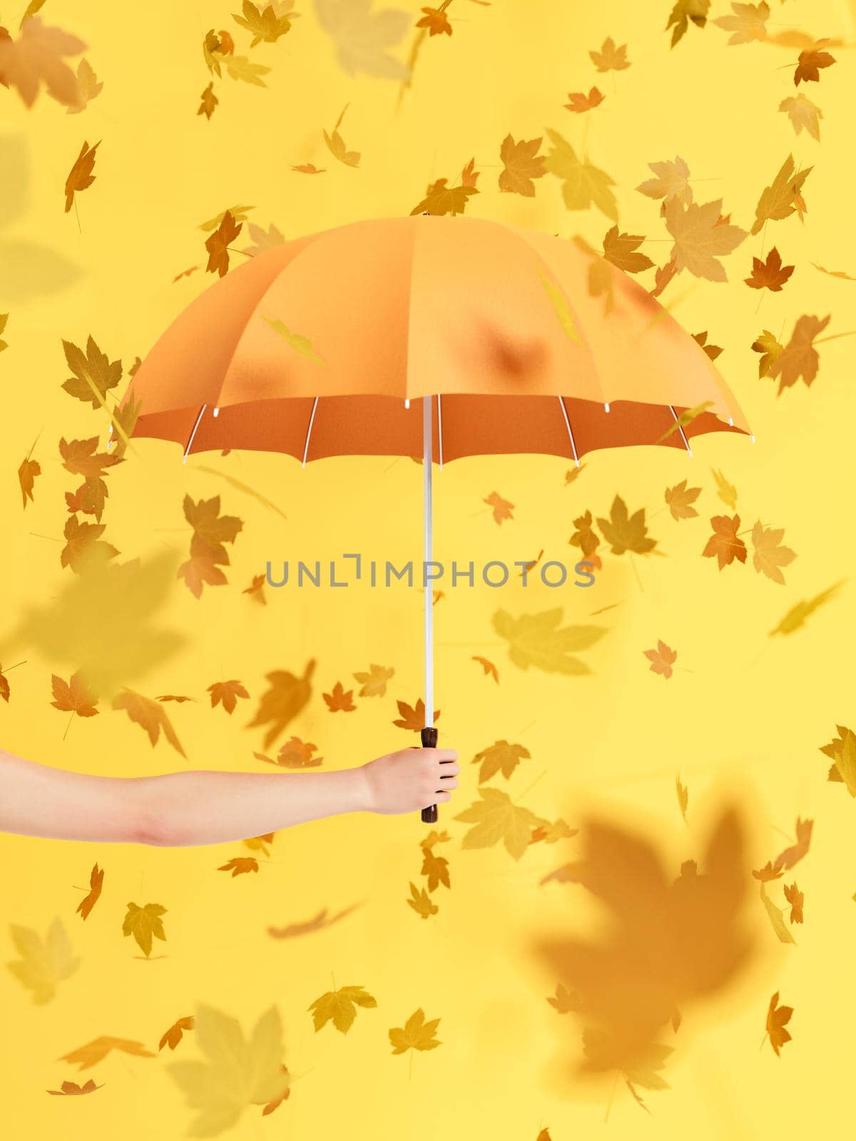 3D rendering of crop anonymous female demonstrating orange umbrella against yellow background with falling dry leaves on autumn day