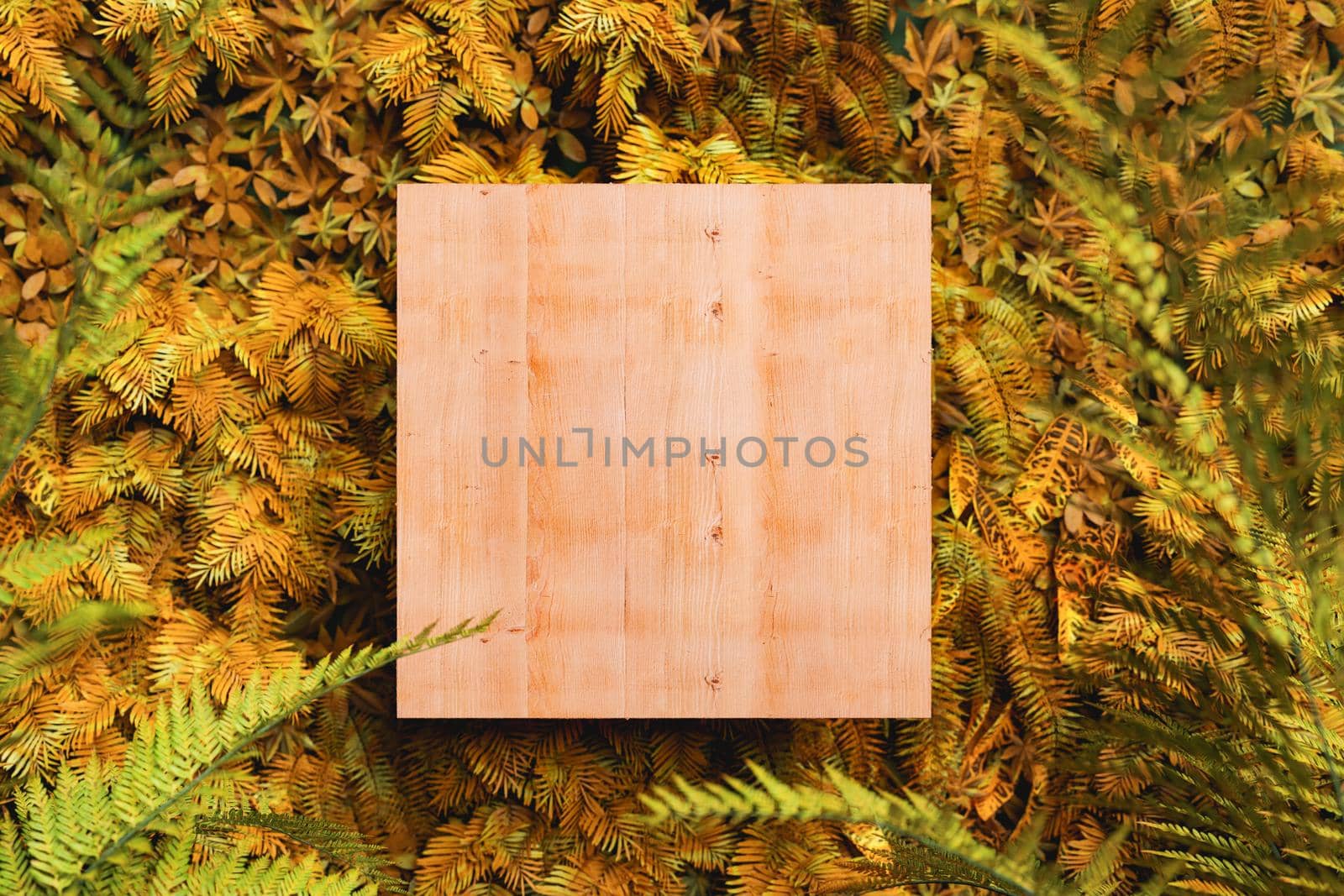 Wooden board placed on fern leaves in autumn park by asolano