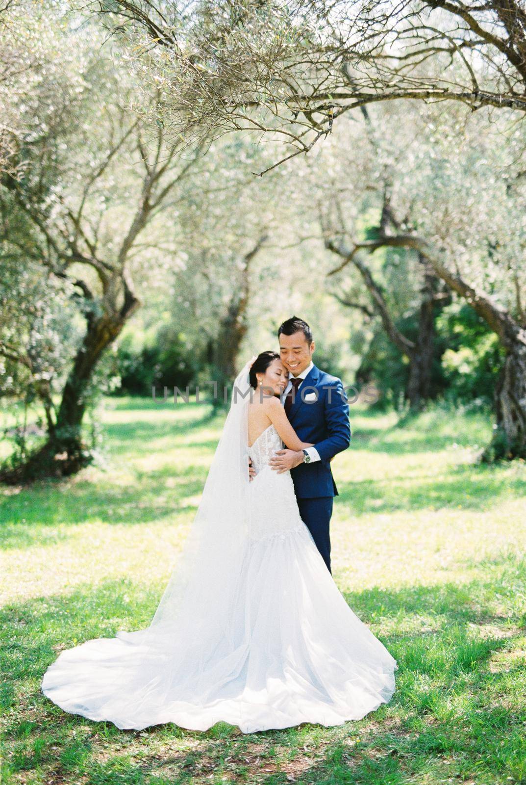 Smiling groom hugging his bride in a clearing in an olive grove. High quality photo