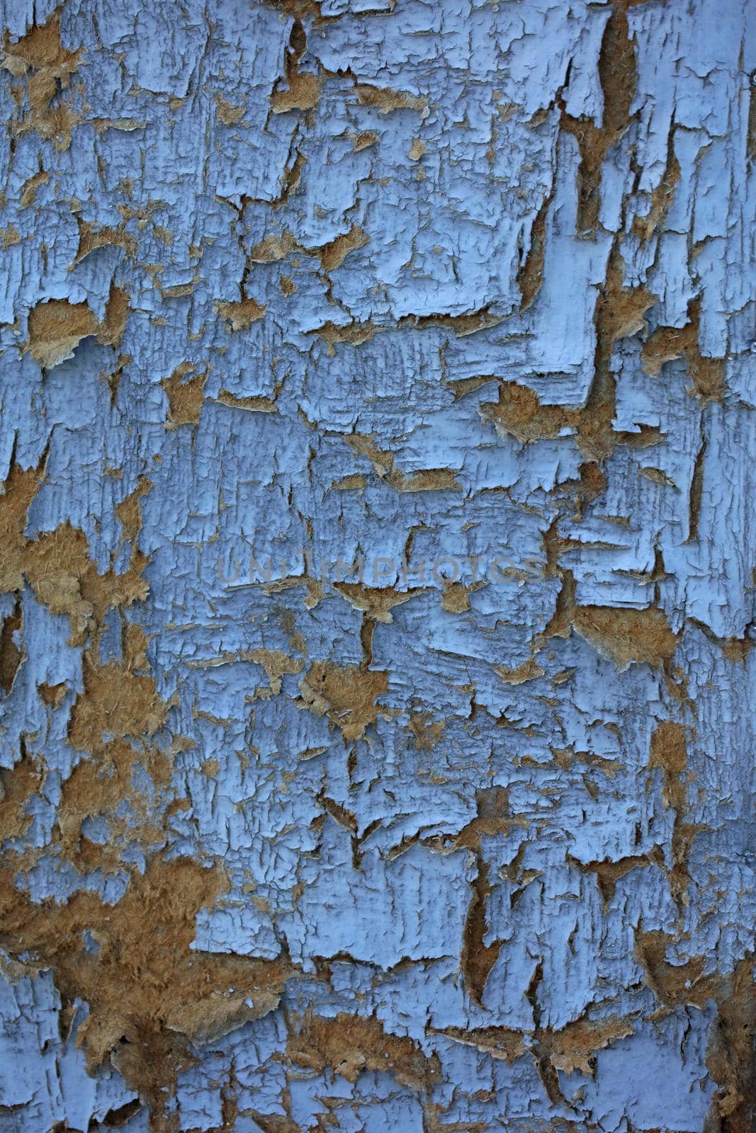 Old wooden door damaged from time close up background high quality big size prints