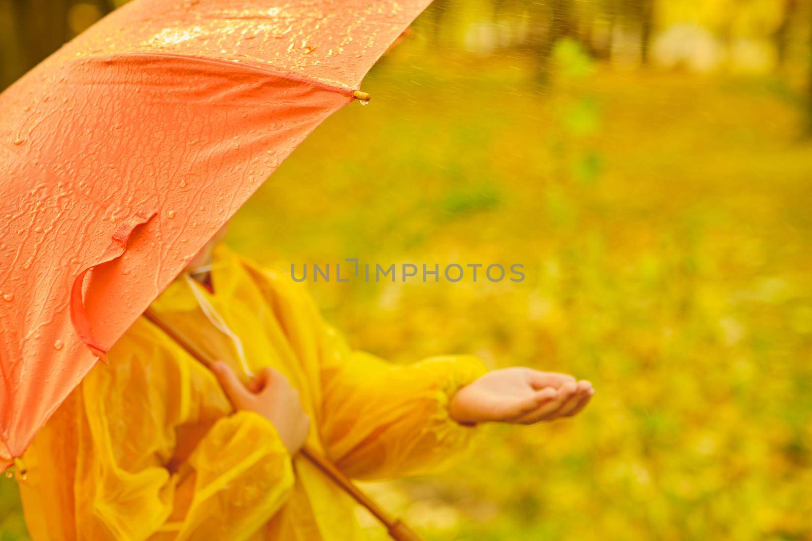 happy kid catching rain drops in Autumn park by InnaVlasova