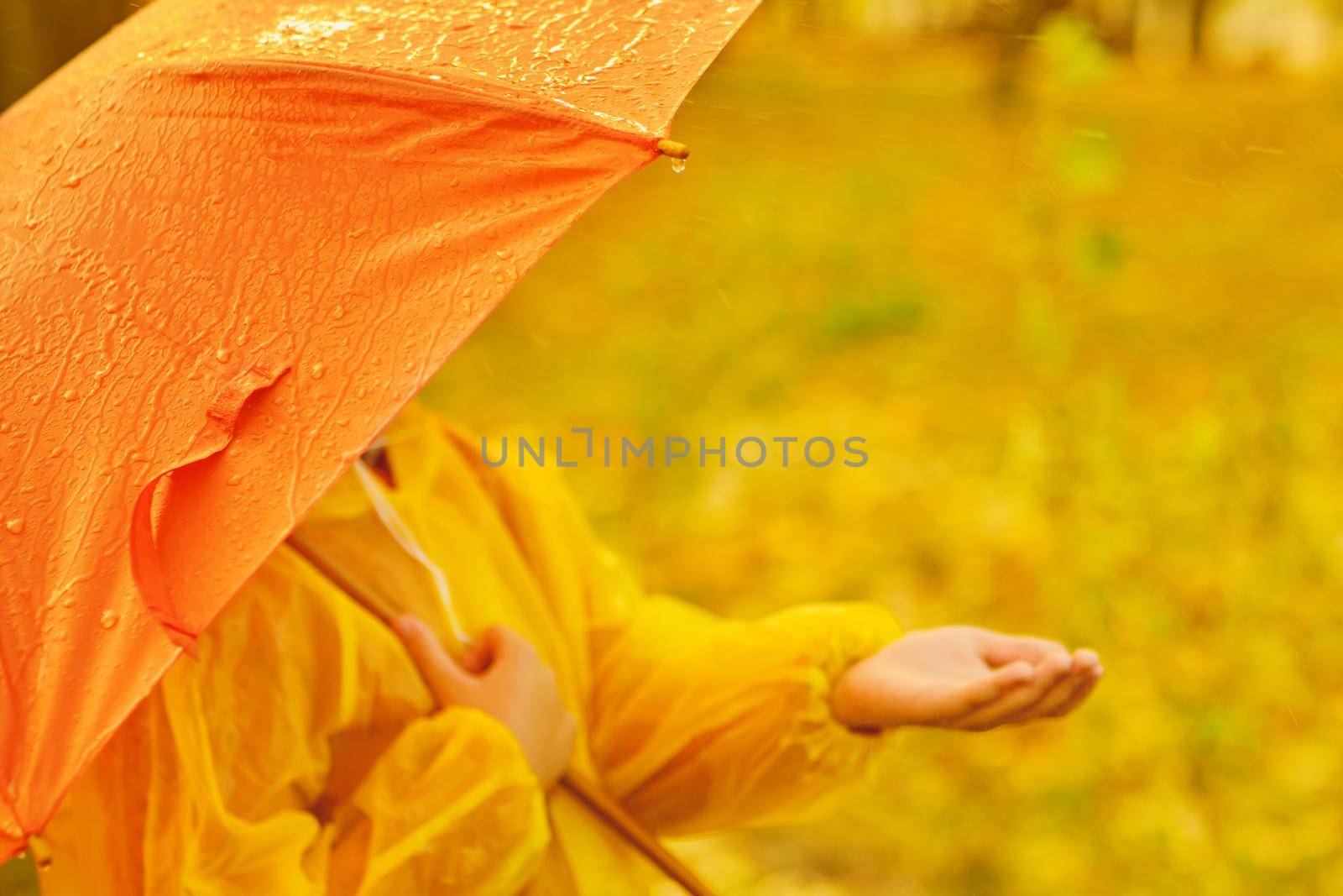 children's hand in the rain, drops falling from a orange umbrella. Autumn weather concept