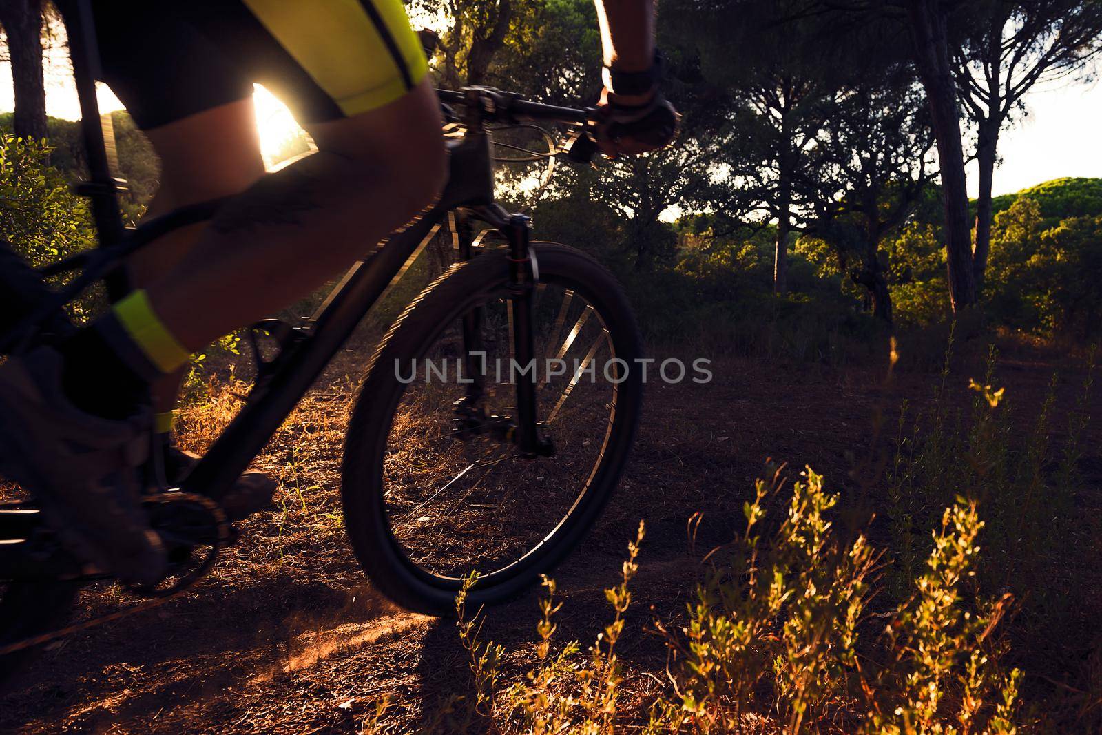 Backlit cyclist rides at full speed on a mountain bike at sunset on a sand road of a pine forest. motion blur, dark mood