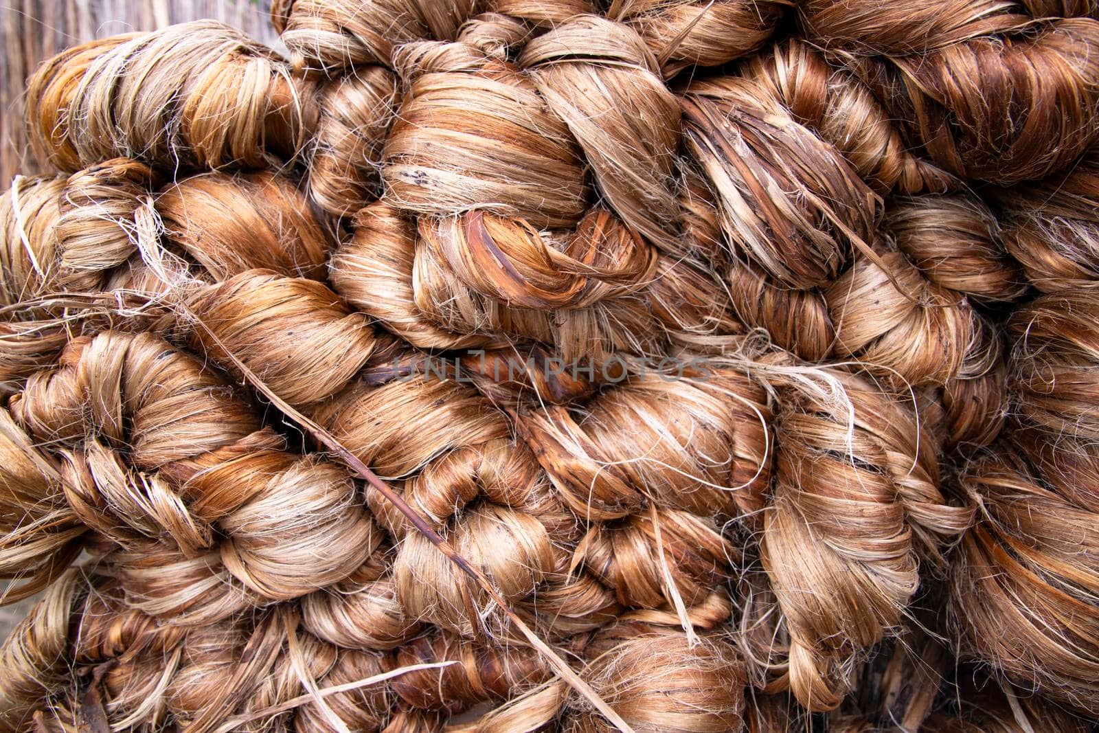 Thick Golden bundle of Wet raw jute fiber Texture Background