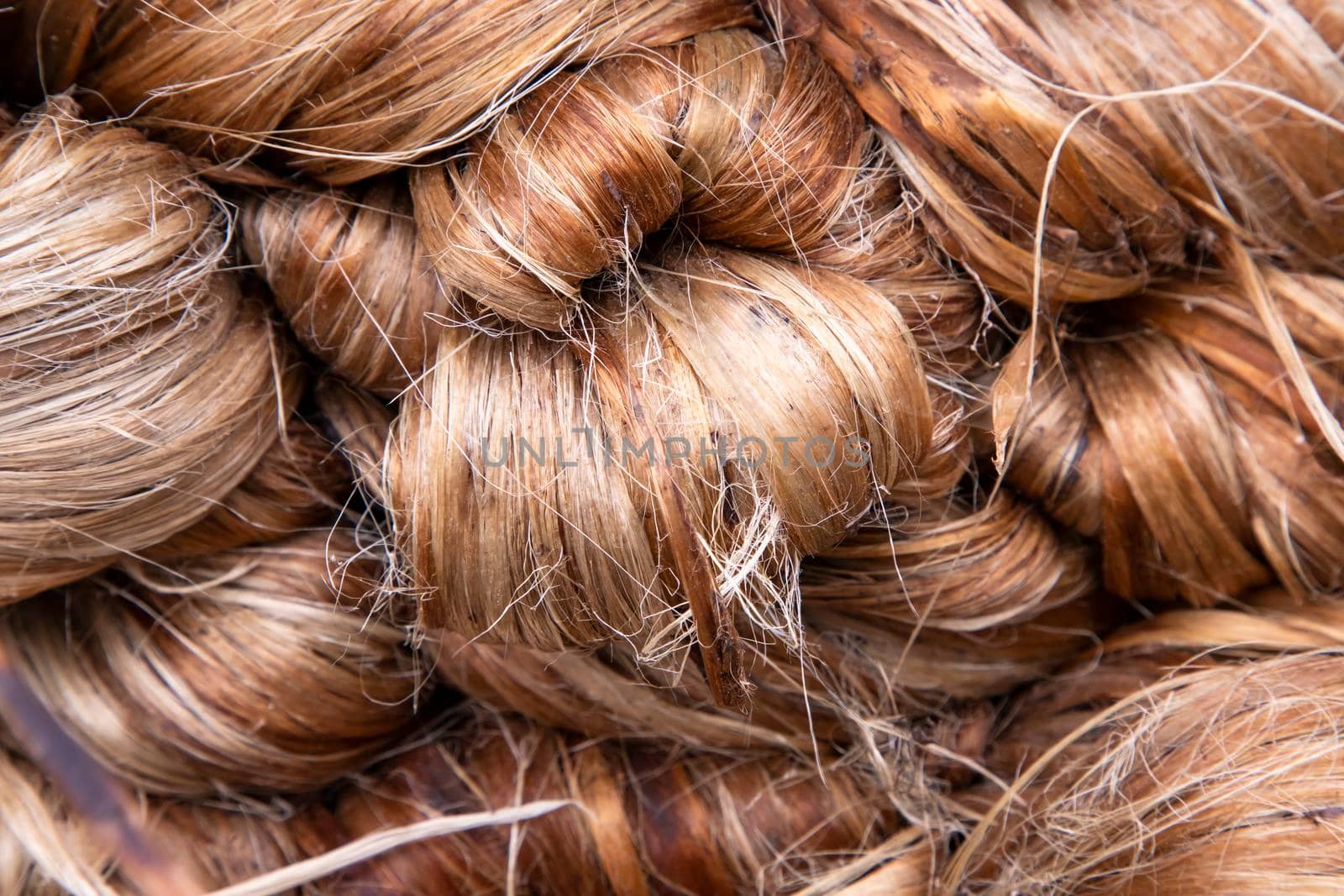 Thick Golden bundle of Wet raw jute fiber Texture Background