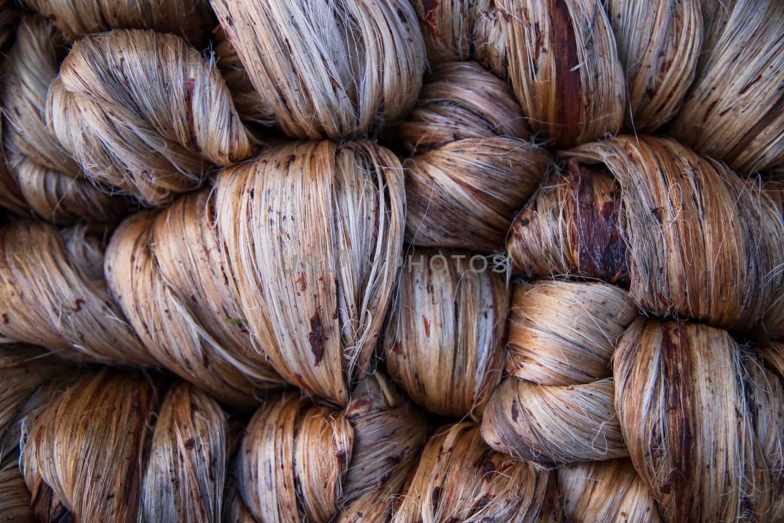 Thick Golden bundle of Wet raw jute fiber Texture Background