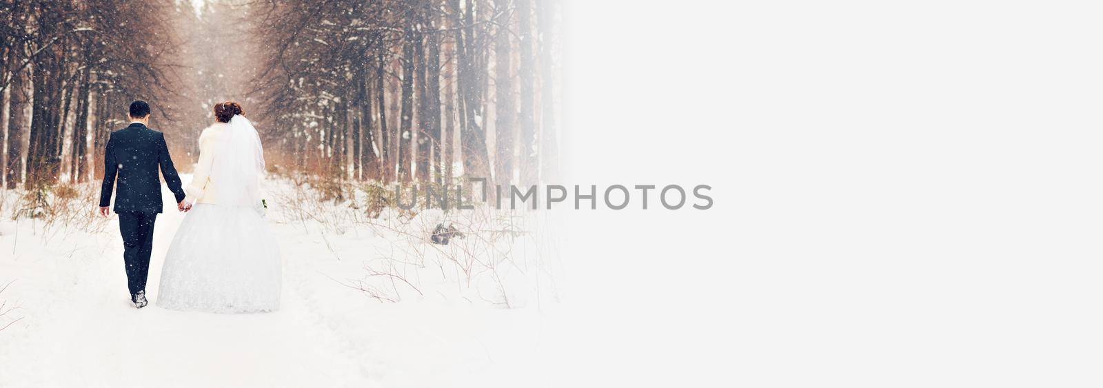 Banner bride and groom in winter snow woods - copy space and christmas wedding holidays concept by Satura86