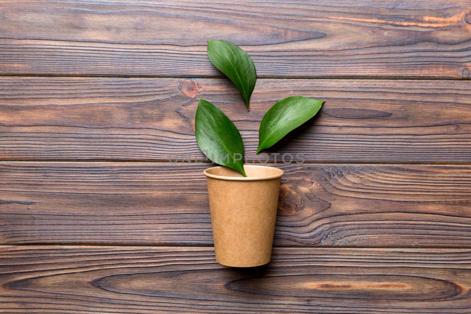 Zero waste cup with green leaf, environmentally friendly, disposable, cardboard, Eco-friendly coffee cup. top View with copy space.