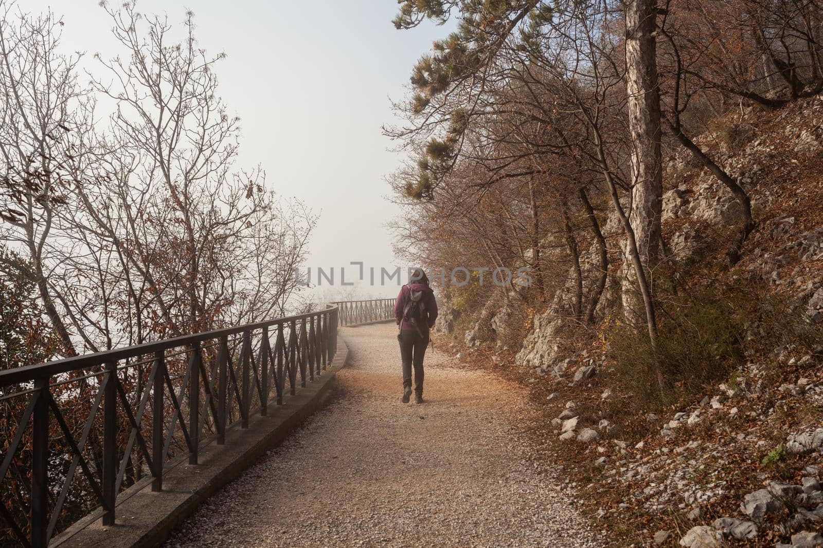 Back view of a Woman walking alone on rural misty path called Napoleonica, Trieste