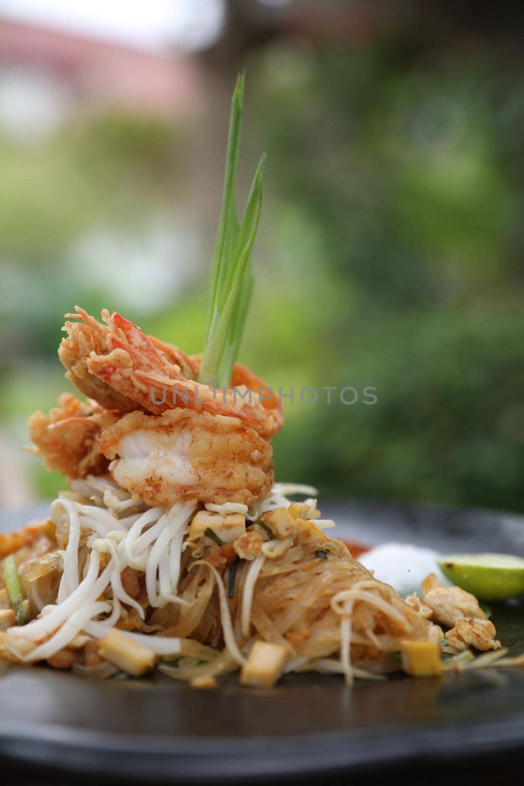 Thai food pad thai local food fried noodle with shrimp