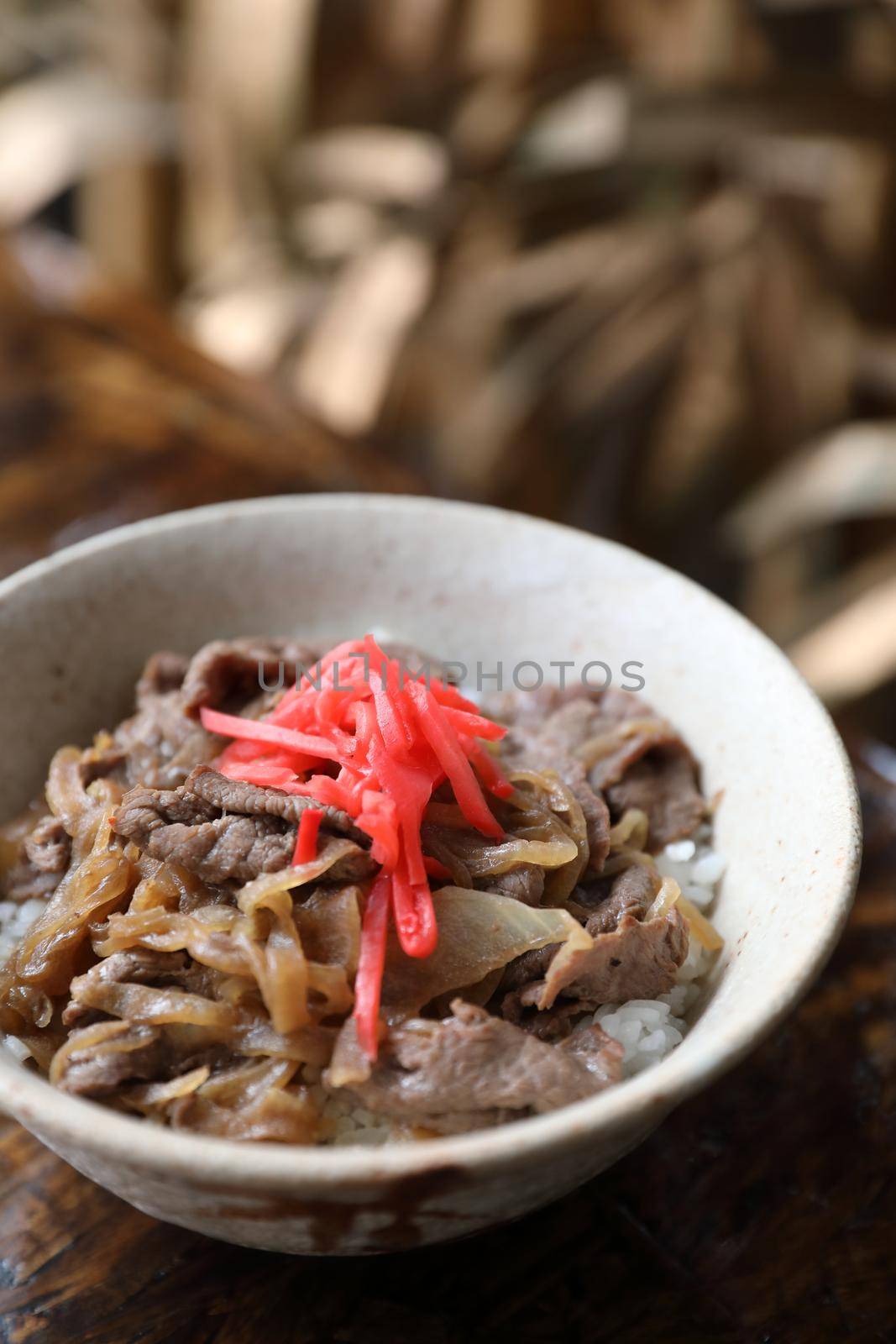 Gyudon Japanese beef rice bowl in close up Japanese local food by piyato