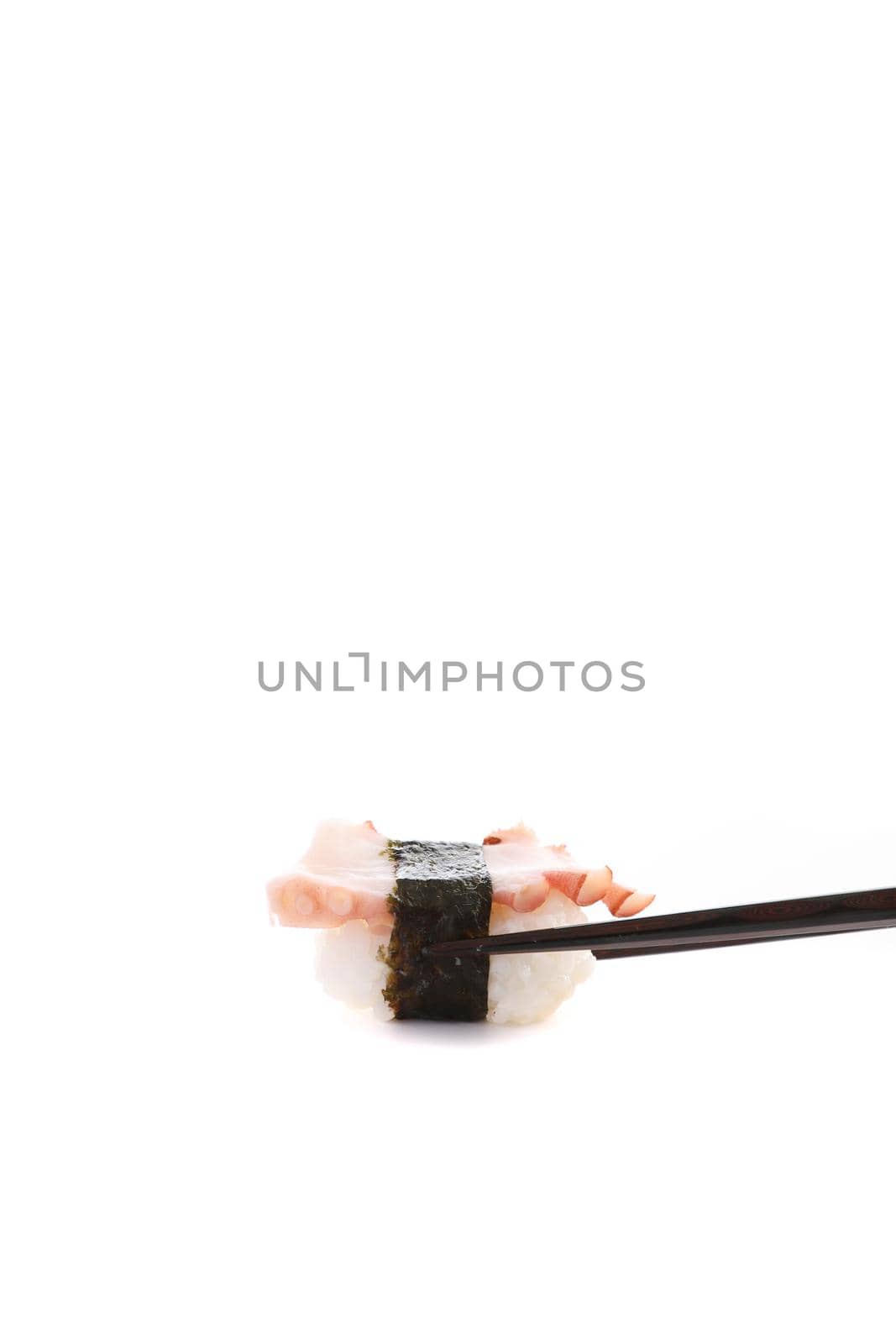 Tako nigiri Octopus Sushi japanese food isolated in white background