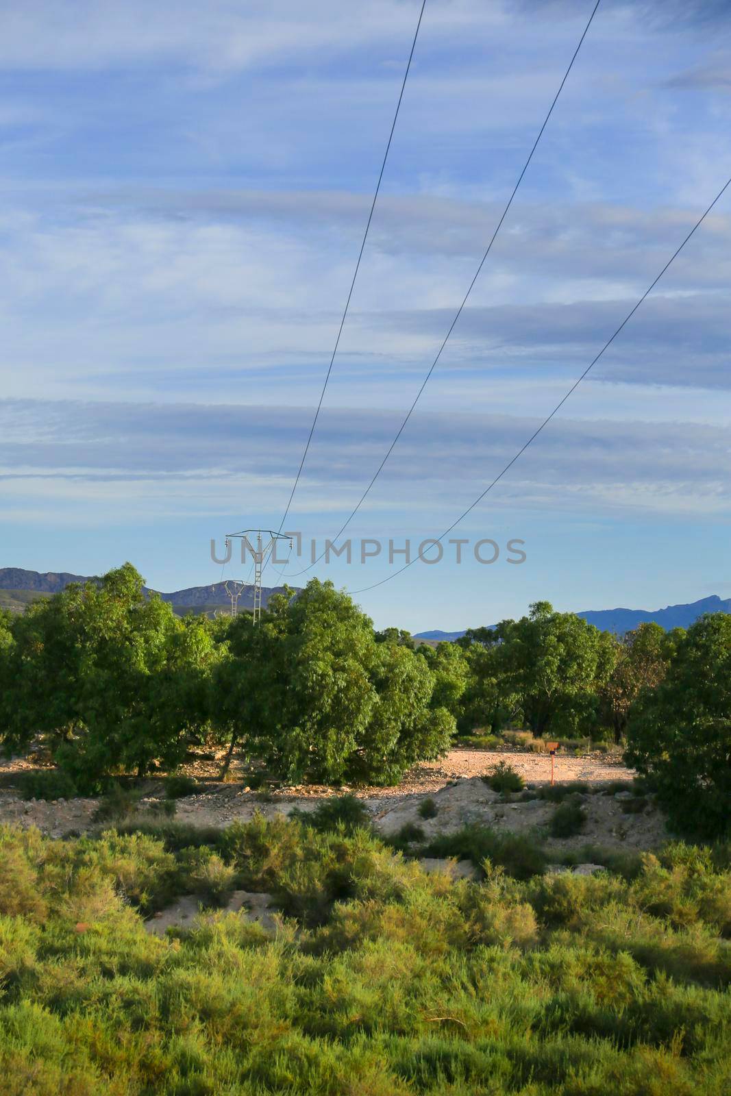 Power lines tower under blue sky in the countryside in Spain