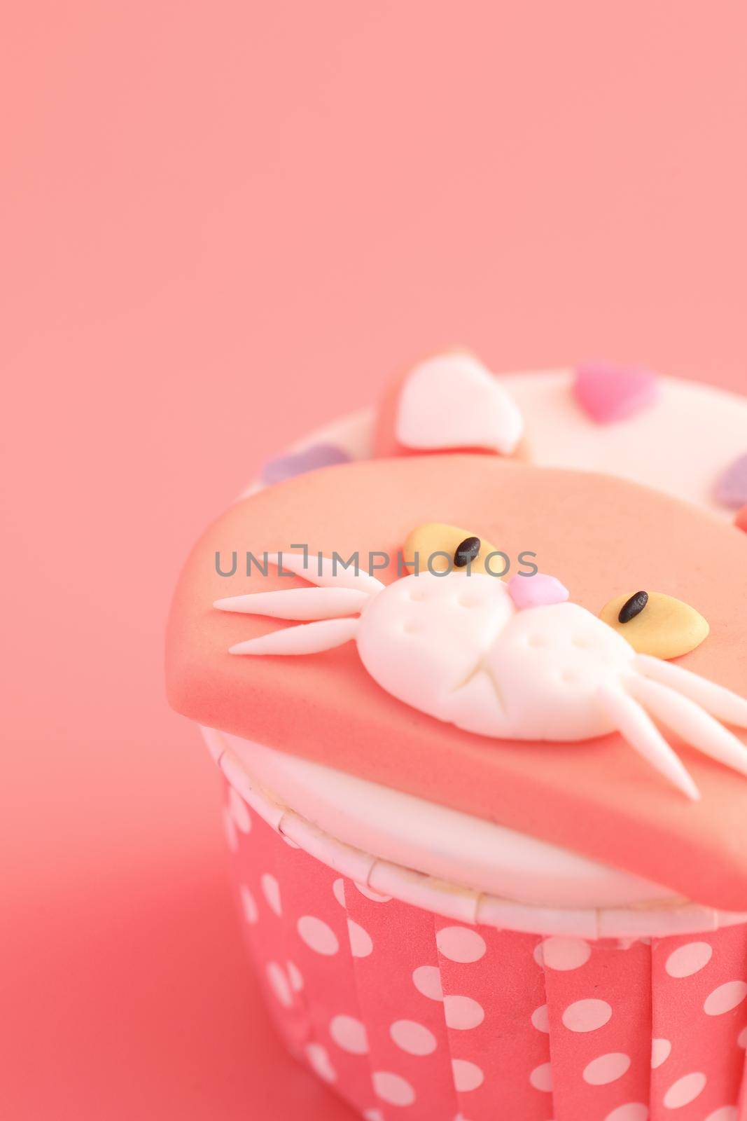 cupcake isolated in pink background