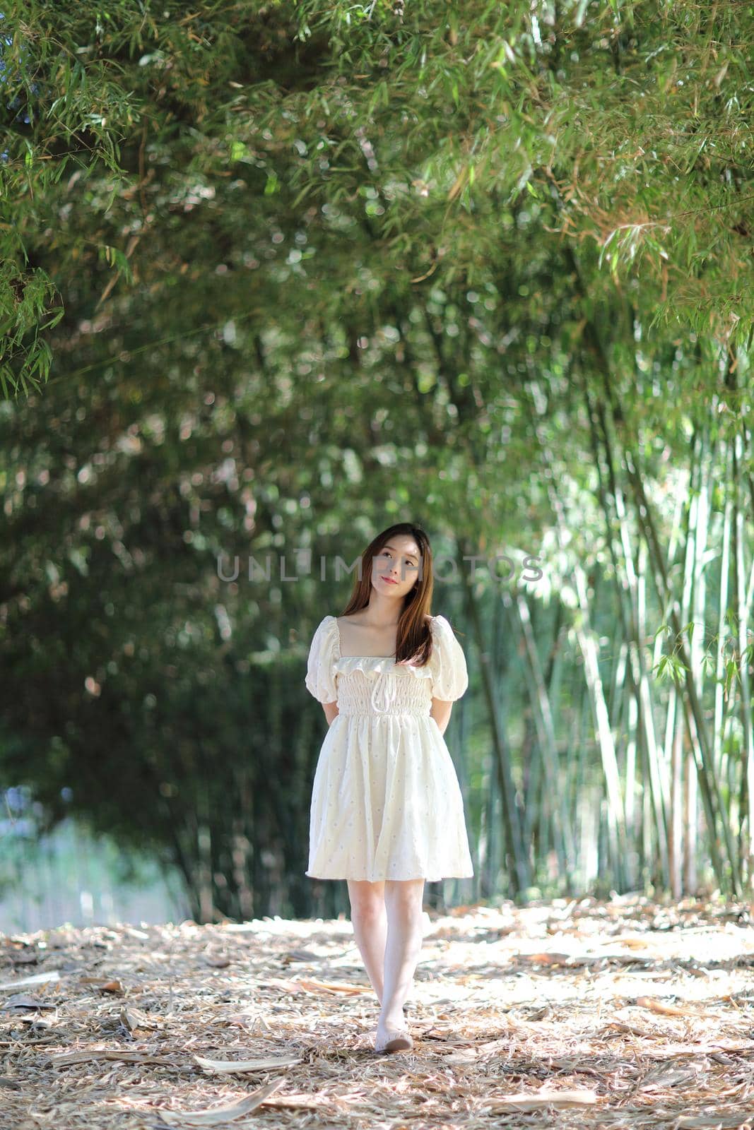 Beautiful young woman with white dress on bamboo forest background by piyato