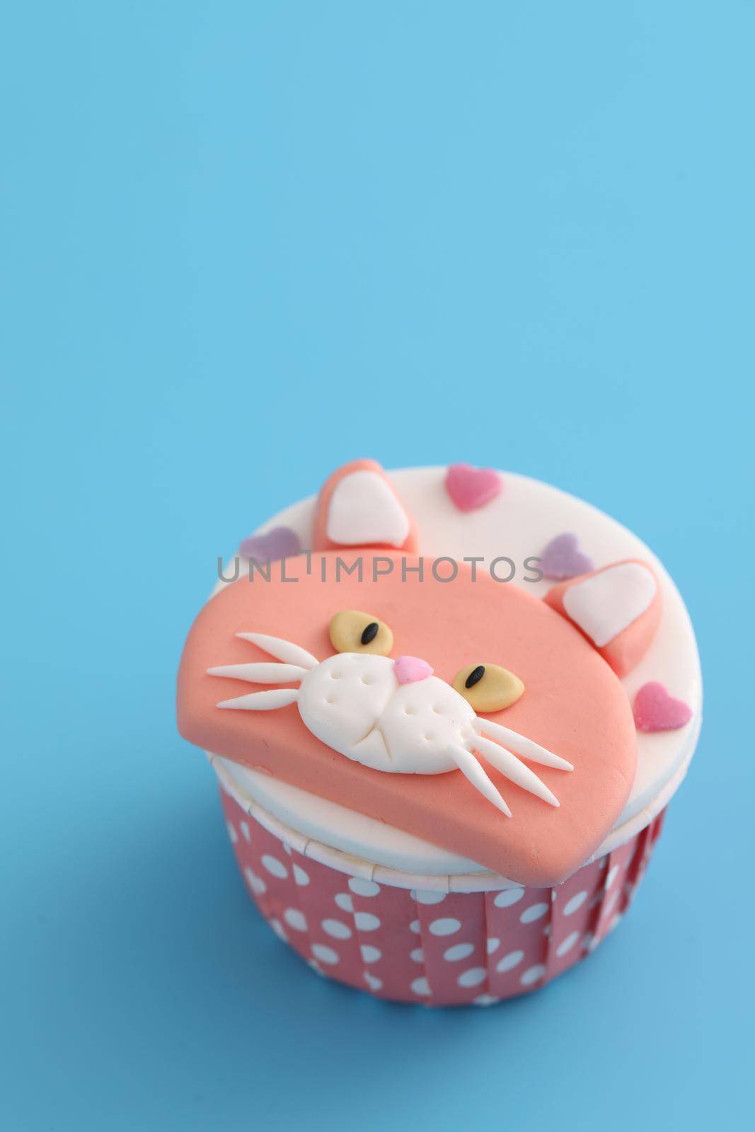 Cute cat cupcake isolated in blue background