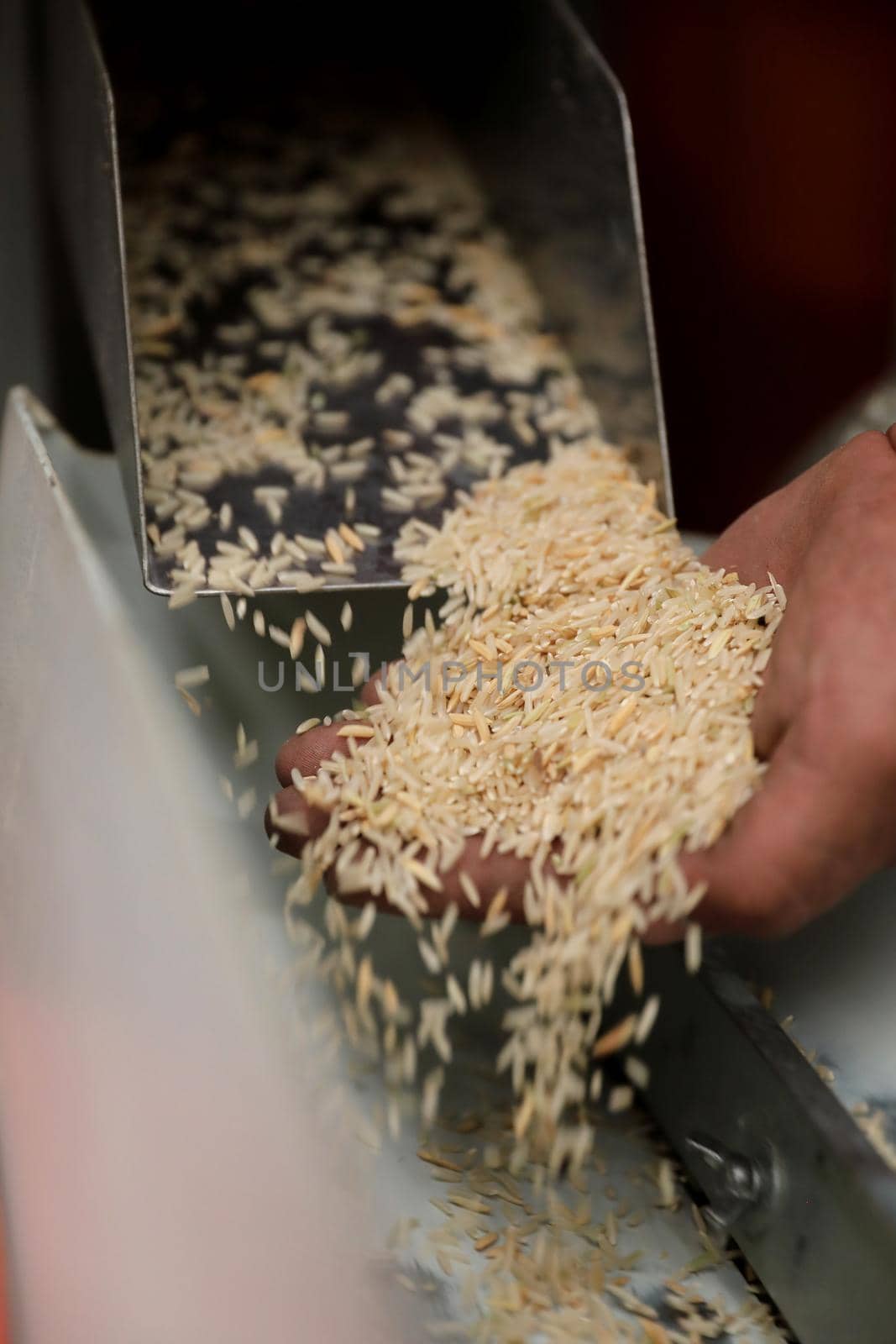 Factory machine Milling rice in close up