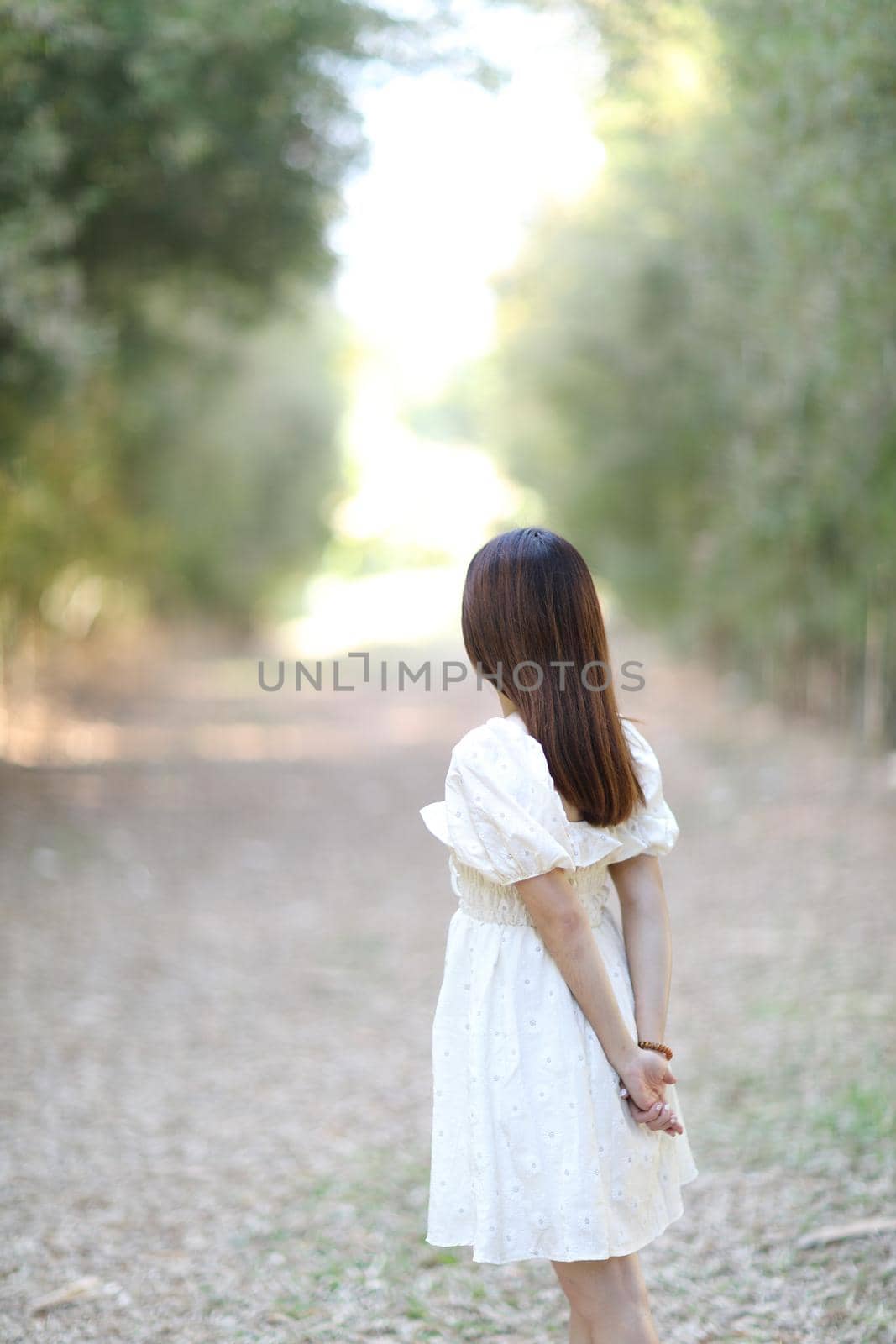 Beautiful young woman with white dress on bamboo forest background