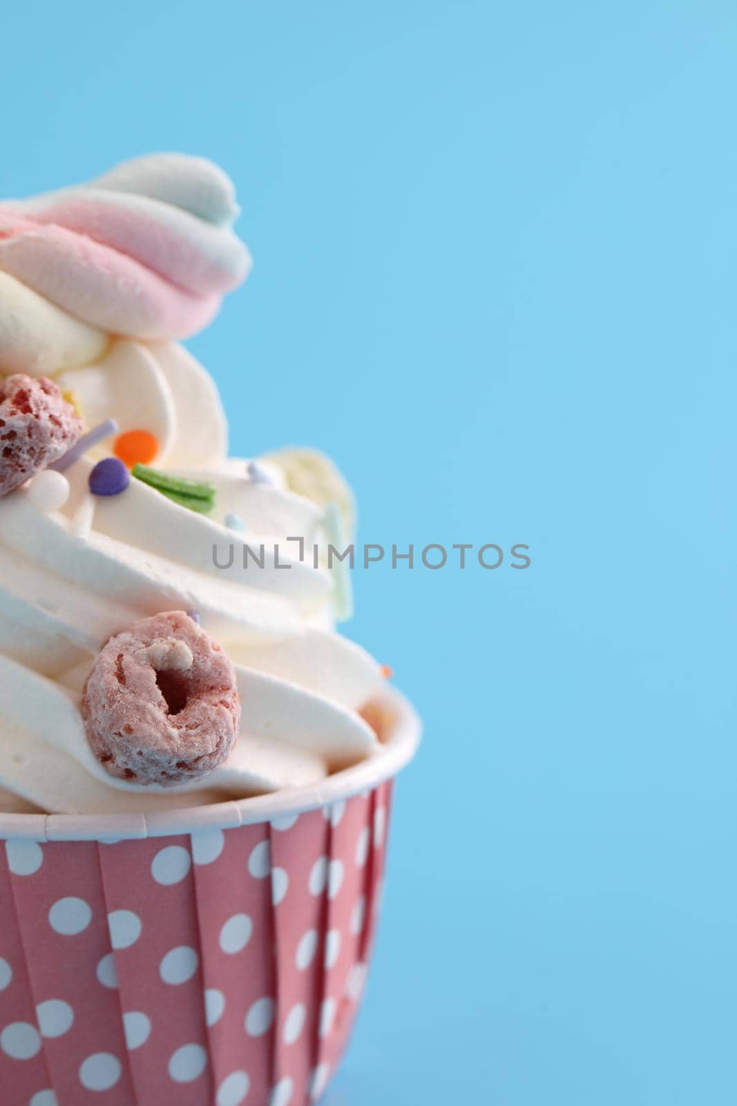 Colorful cupcake isolated in blue background