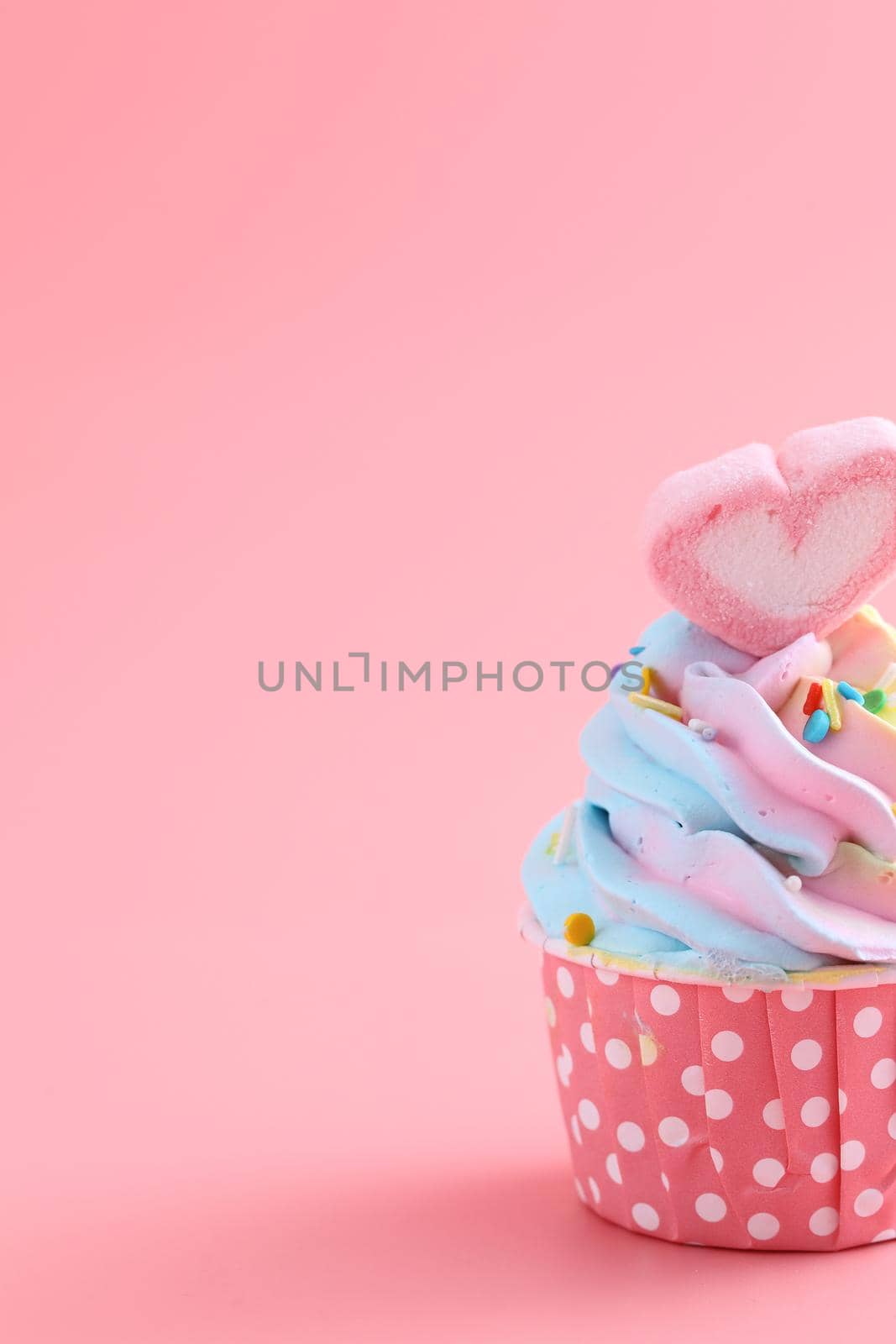 colorful cupcake isolated in pink background