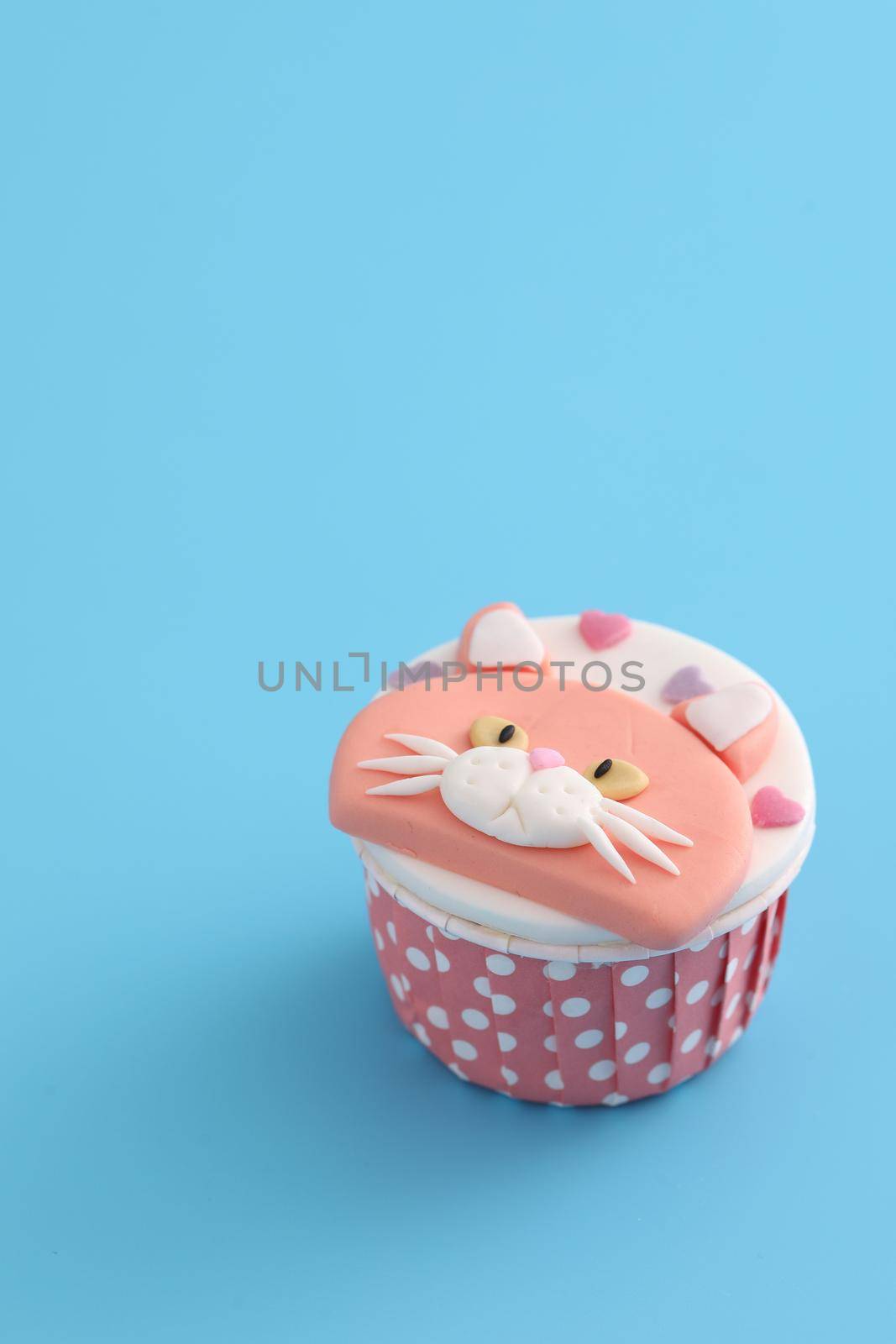 Cute cat cupcake isolated in blue background