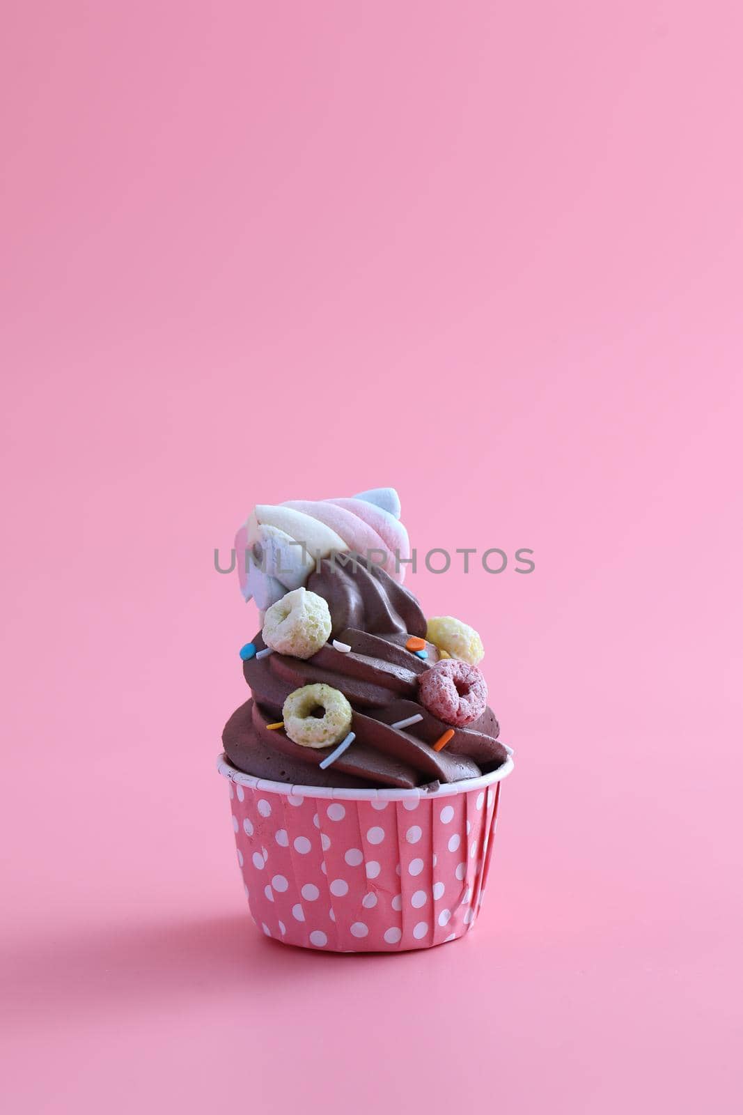 Chocolate cupcake isolated in pink background