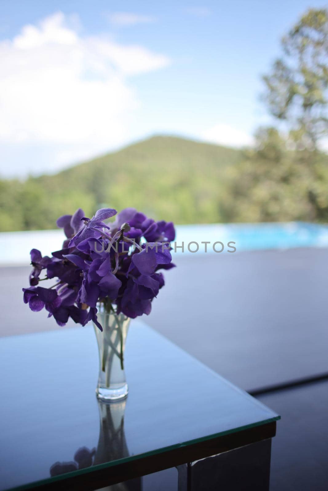 purple flower in jar on home by piyato