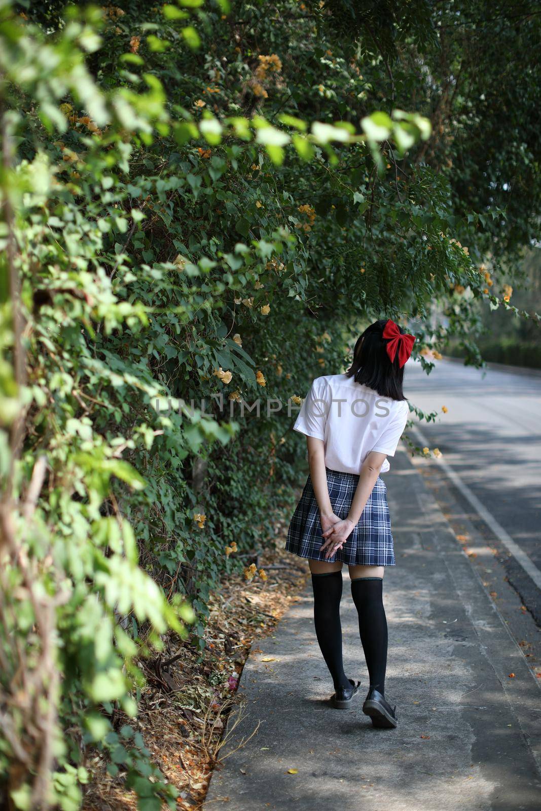Asian school girl walking and looking in urban city with tree background
