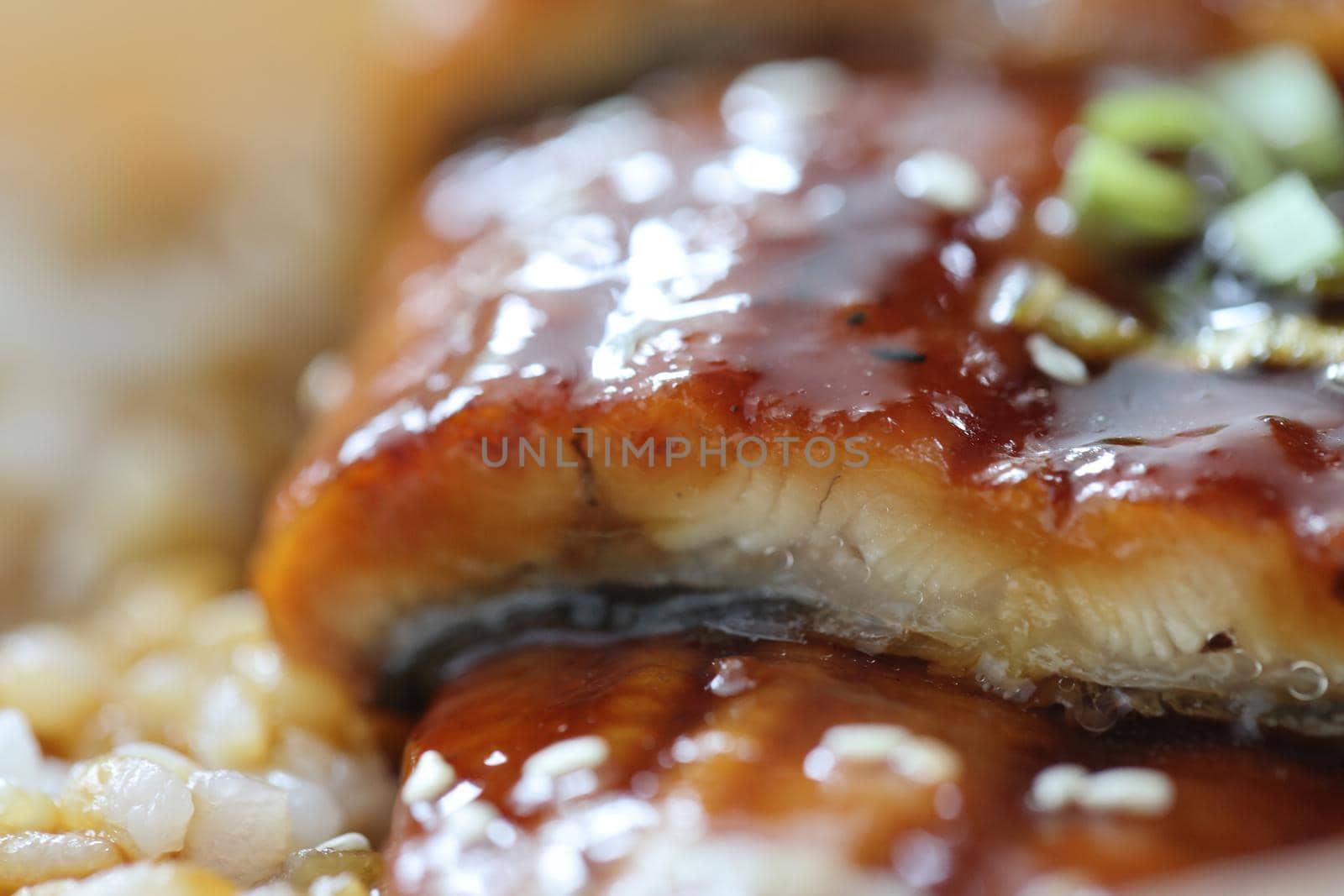 Japanese food eel grilled with rice Unagi don in close up