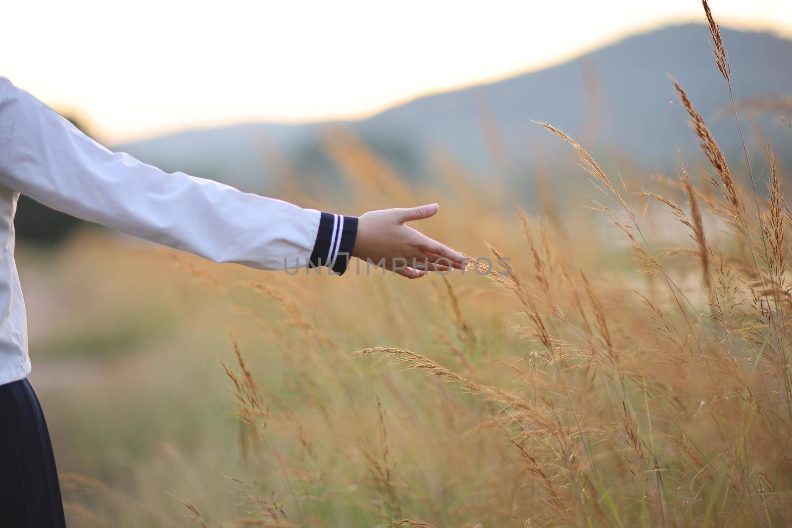 Asian High School Girls student hand touch grass in countryside with sunrise