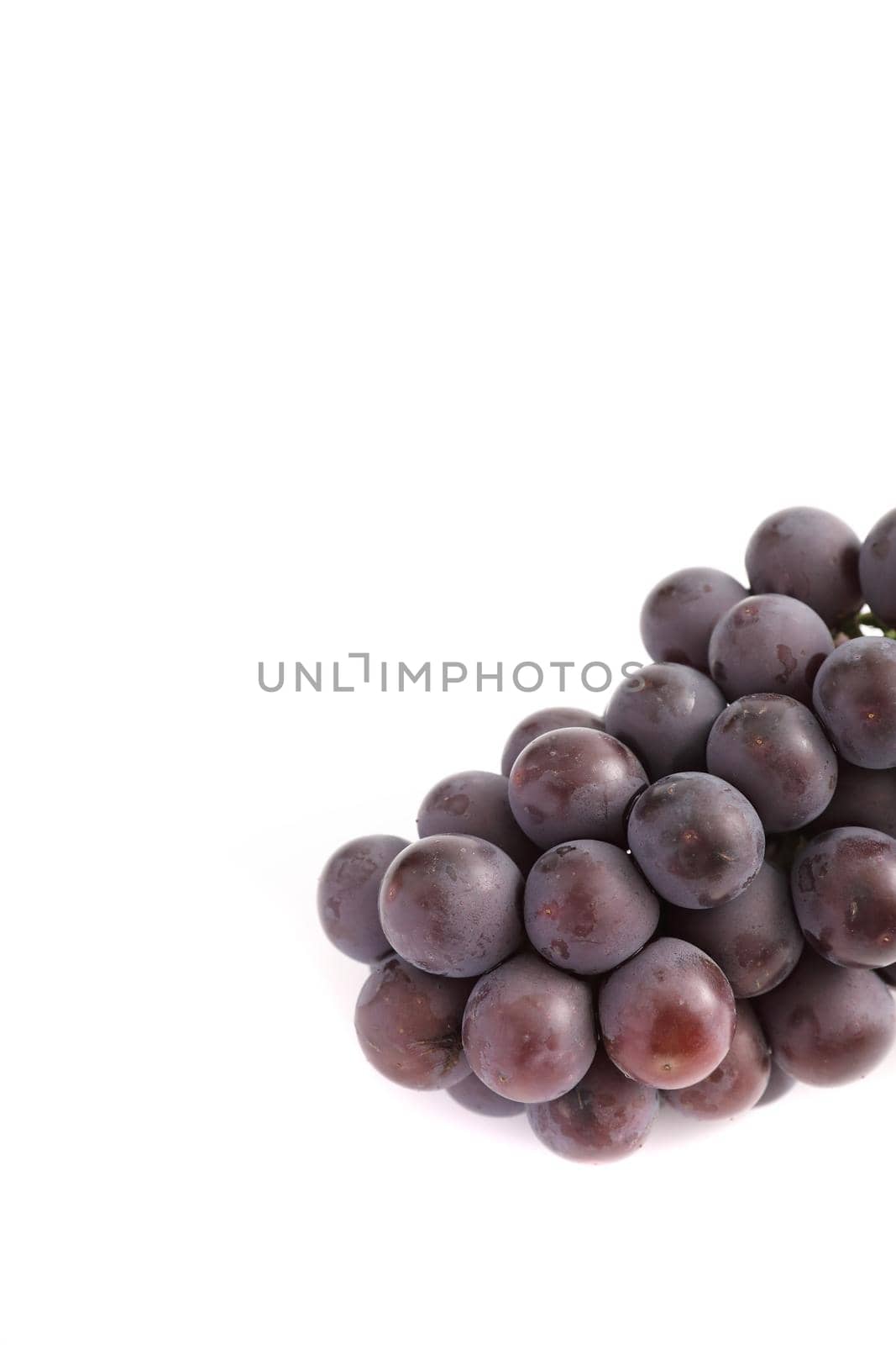 Red grapes isolated in white background