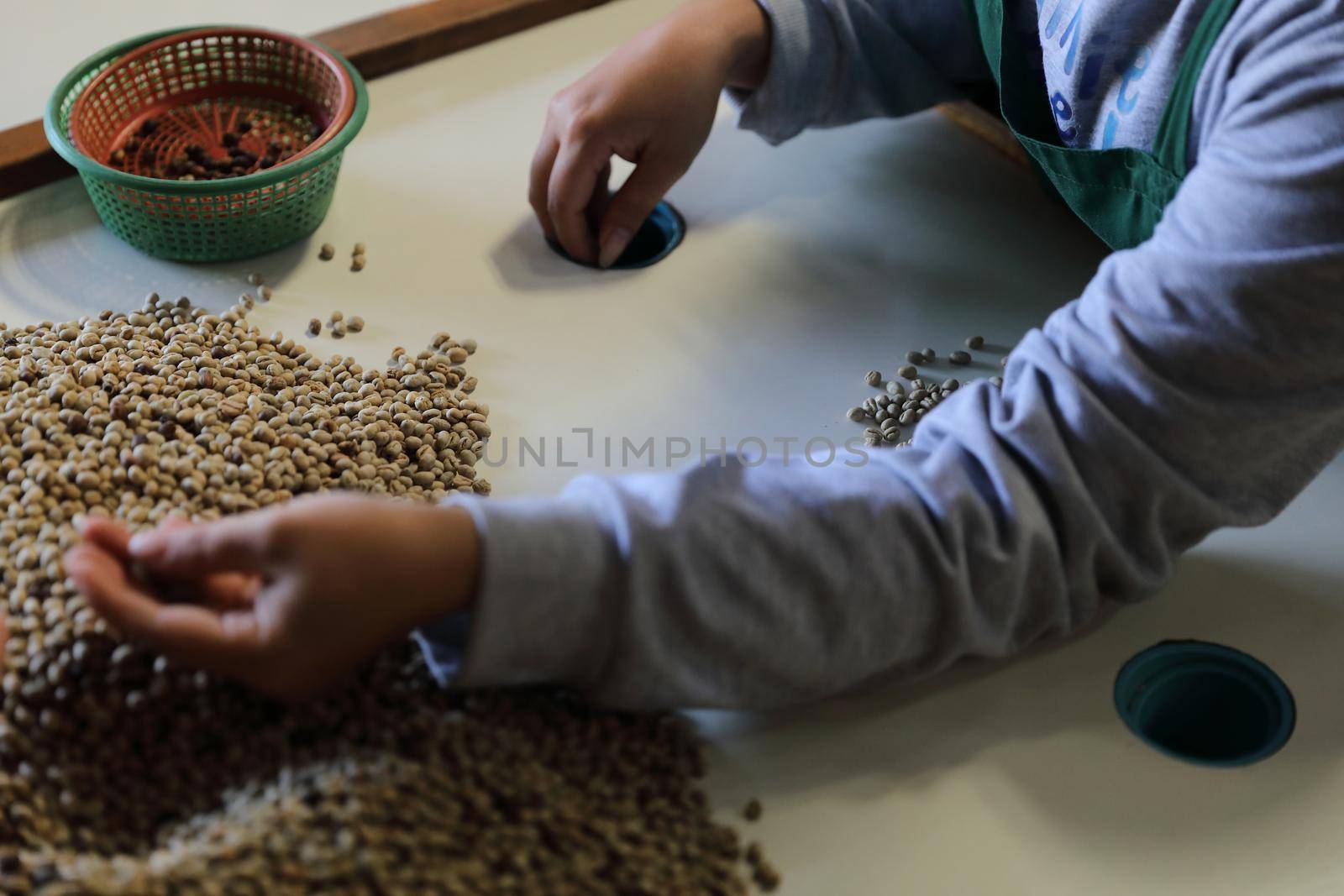 Workers Hands choosing coffee beans at coffee factory by piyato