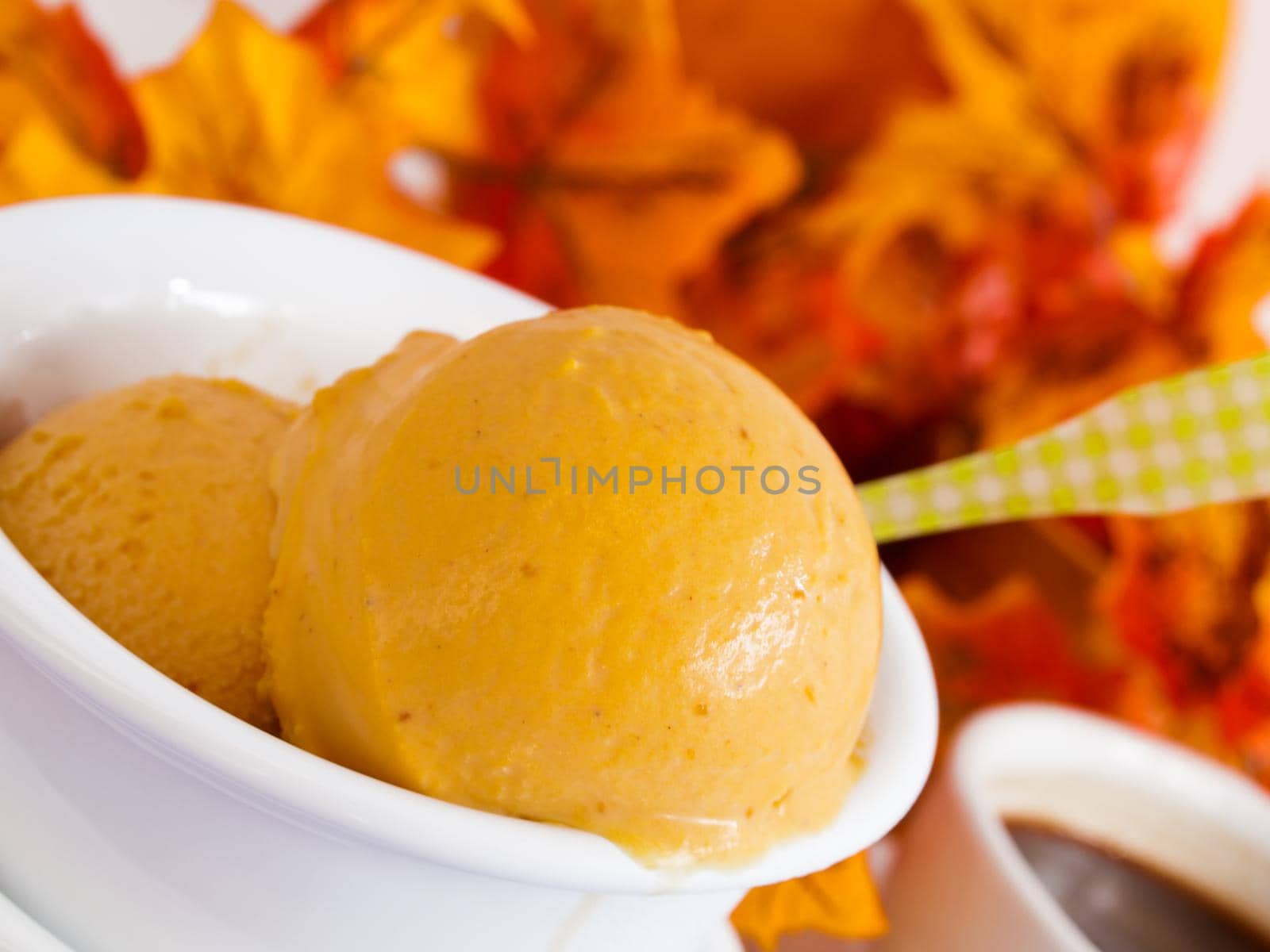 Scoop of gourmet pumpkin gelato in white bowl.