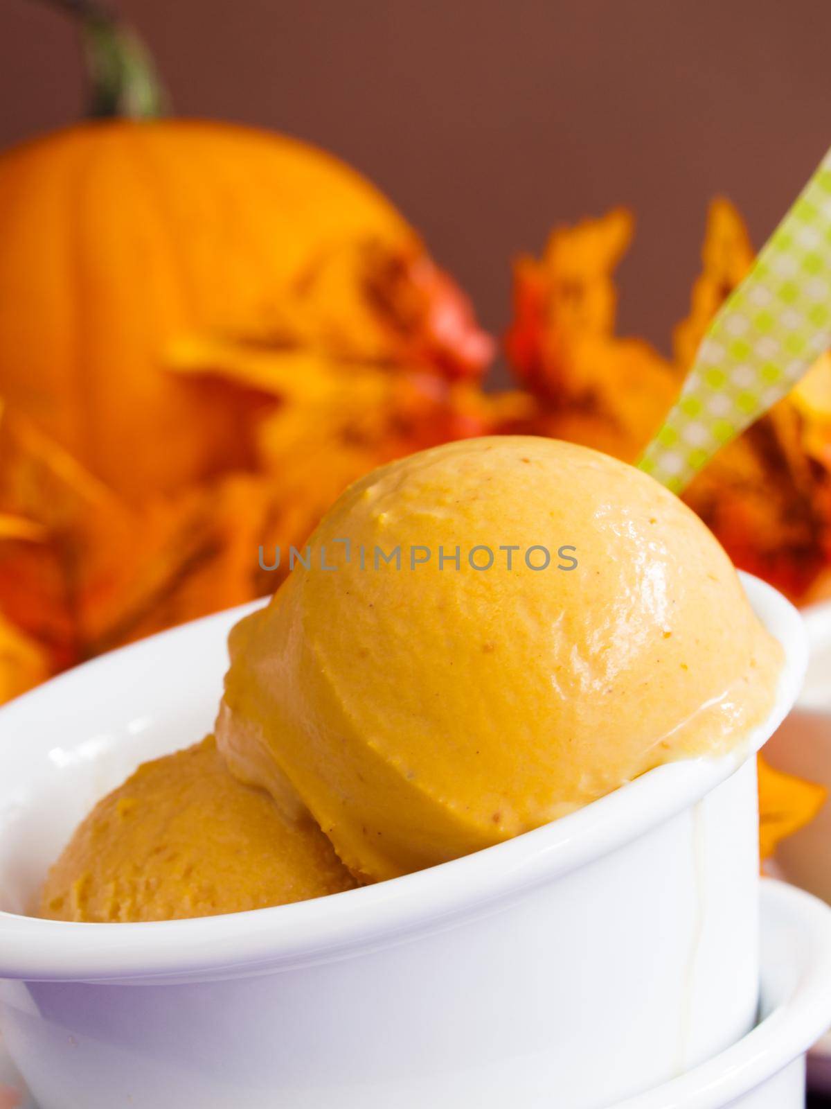 Scoop of gourmet pumpkin gelato in white bowl.