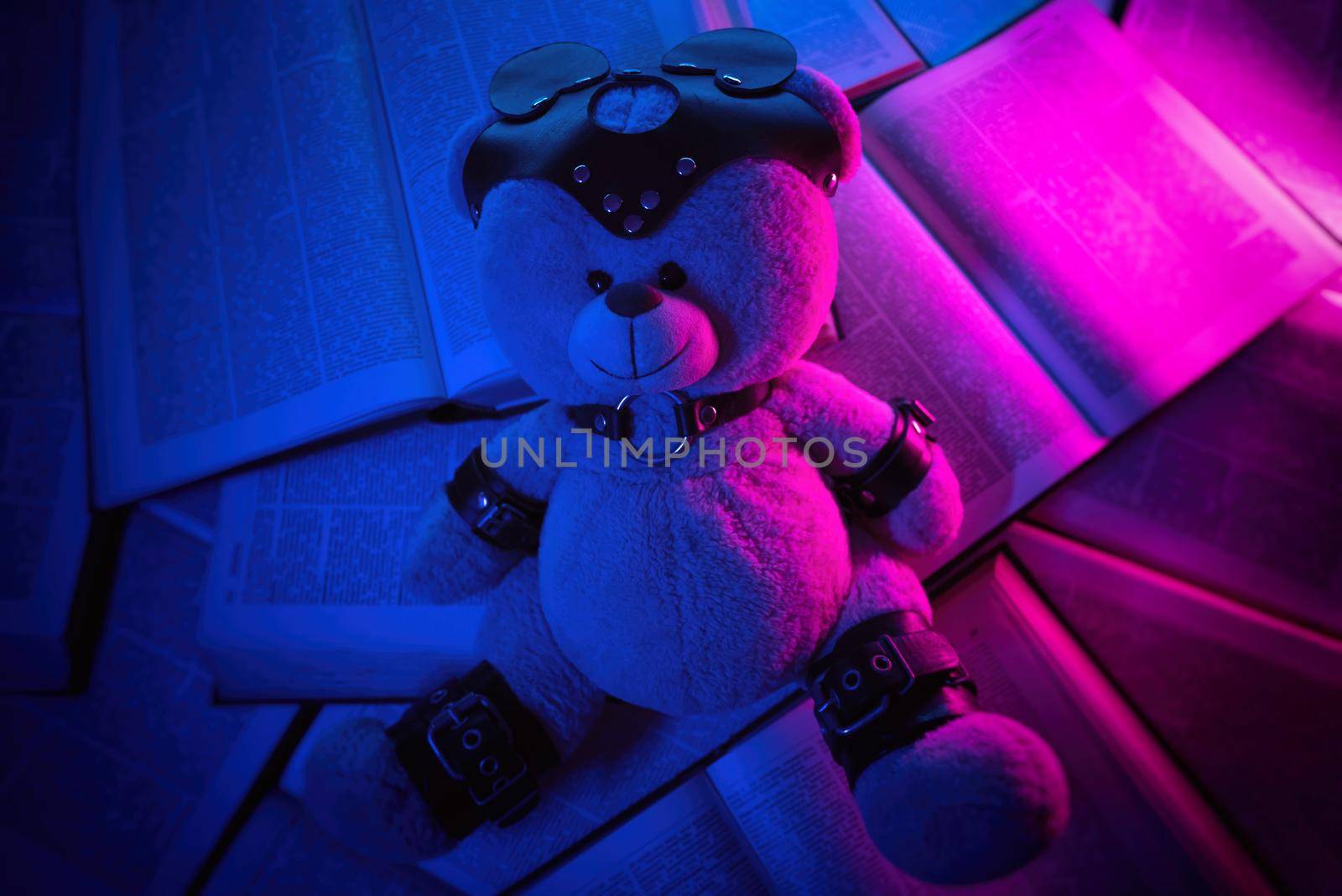 accessory for bdsm games on a teddy bear by Rotozey