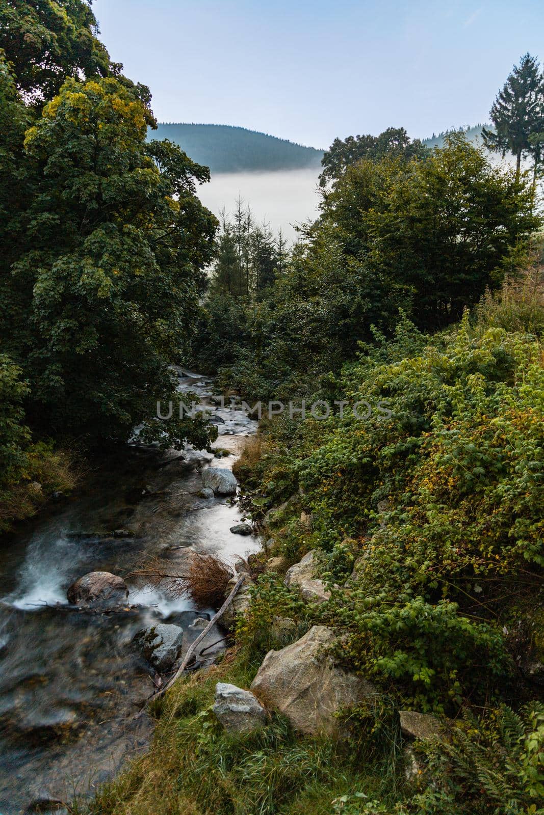 Small flowing river in Golden Mountains at morning sunrise seen from bridge  by Wierzchu