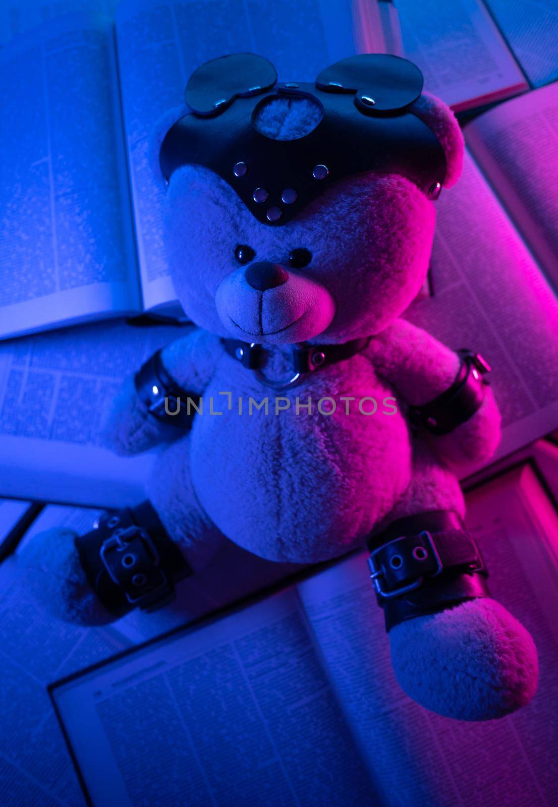 accessory for bdsm games on a teddy bear among open books
