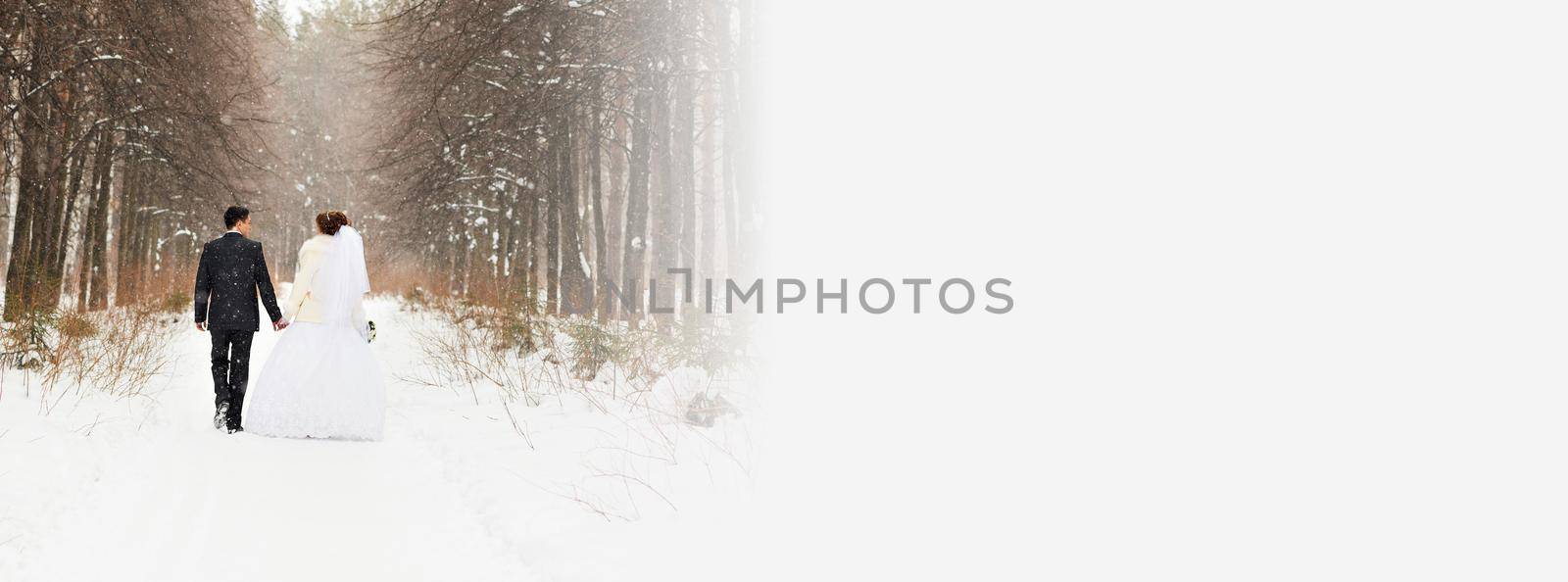 Banner bride and groom in winter snow woods - copy space and christmas wedding holidays concept by Satura86